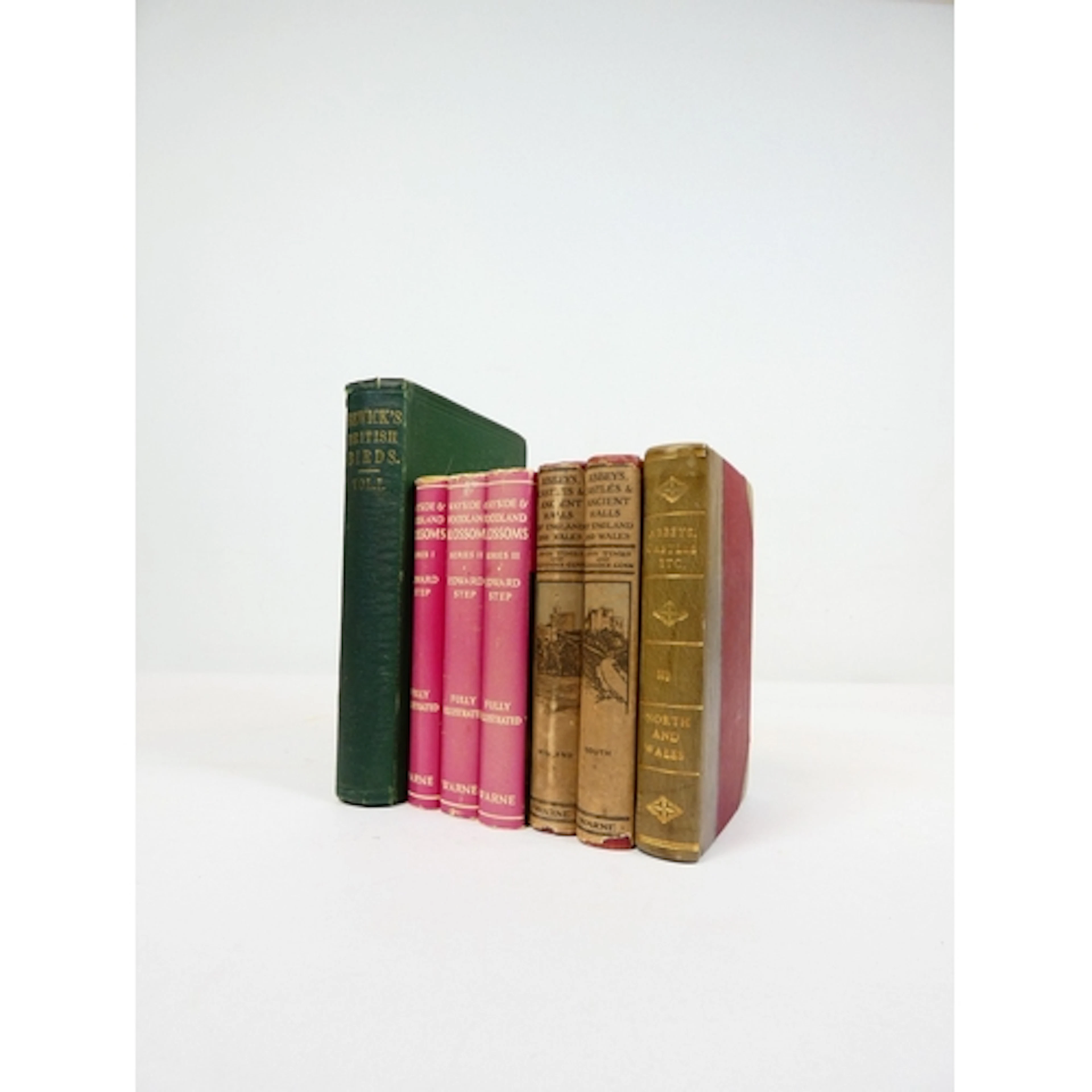 BEWICK THOMAS. A History of British Birds Vol. 1 ...
