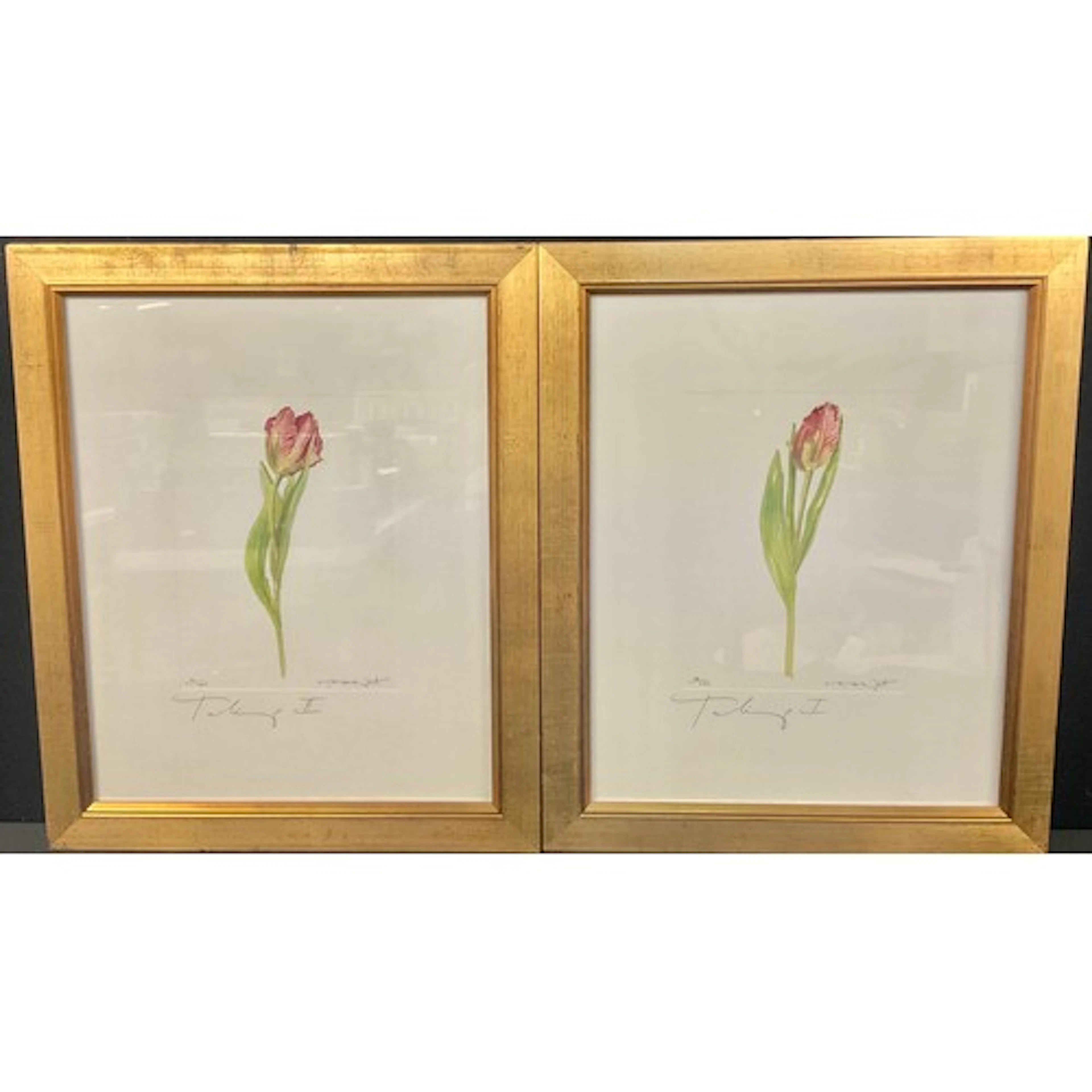 Prints - Tulip I & Tulip II, limited edition signed prints, ...
