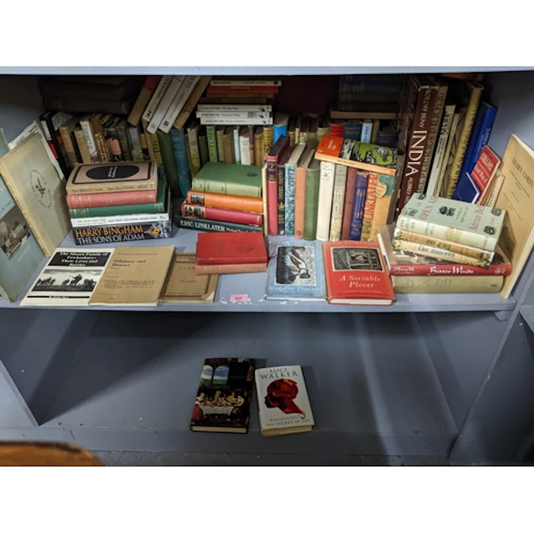 A mixed quantity of books to include novels, travel books, a...