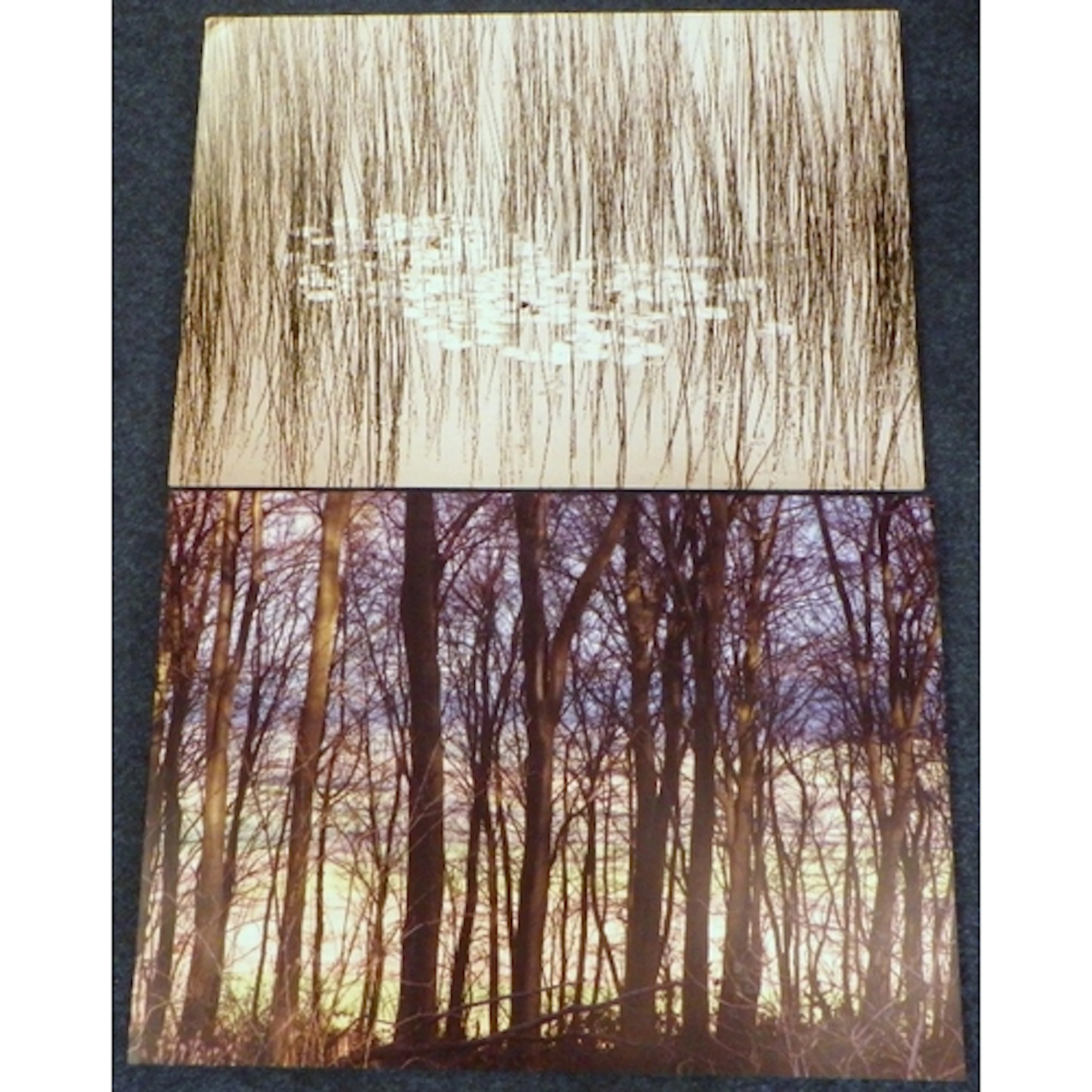 Two photo on metal prints by Simon Palmour (2)