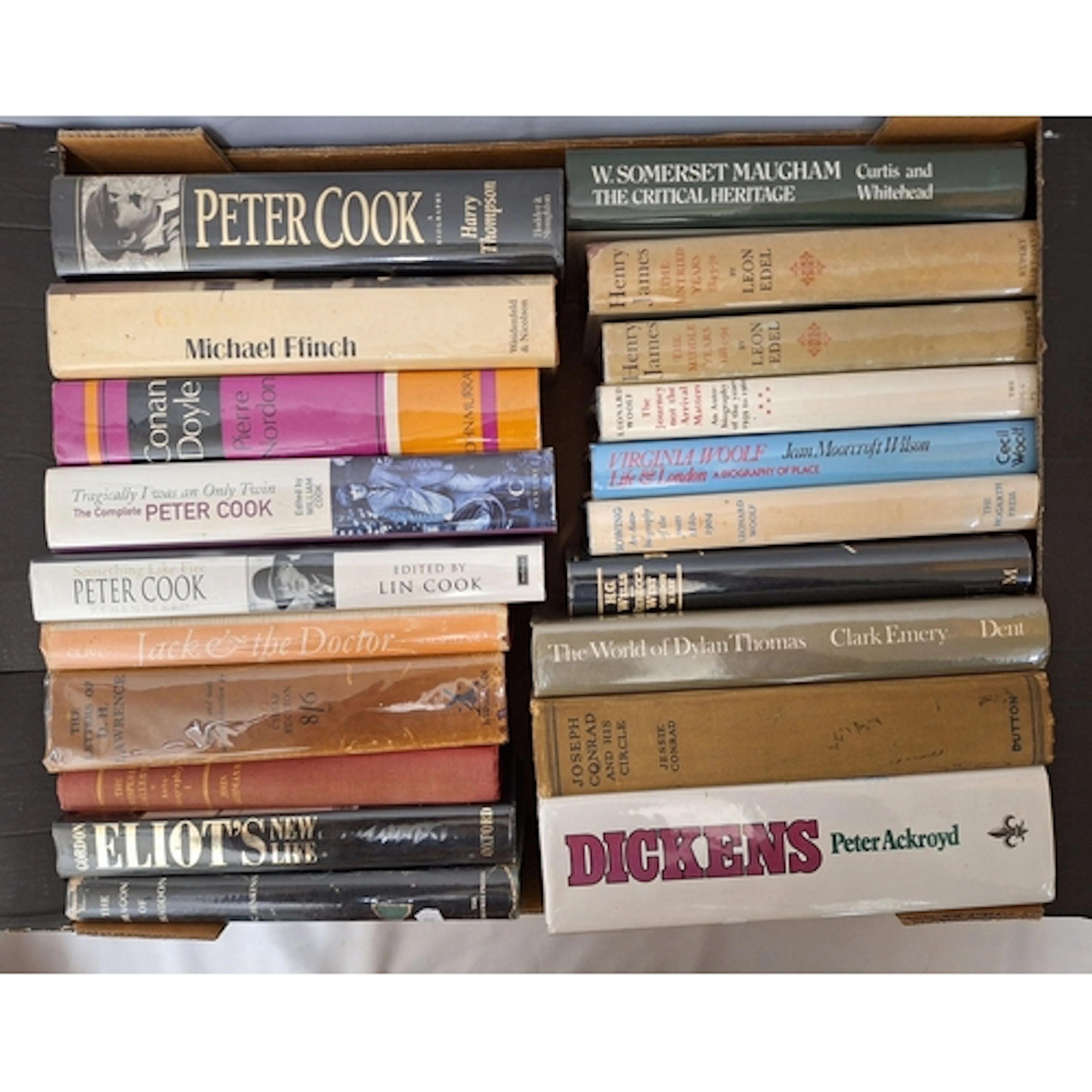 Books incl. The World of Dylan Thomas, Virginia Woolf Life i...