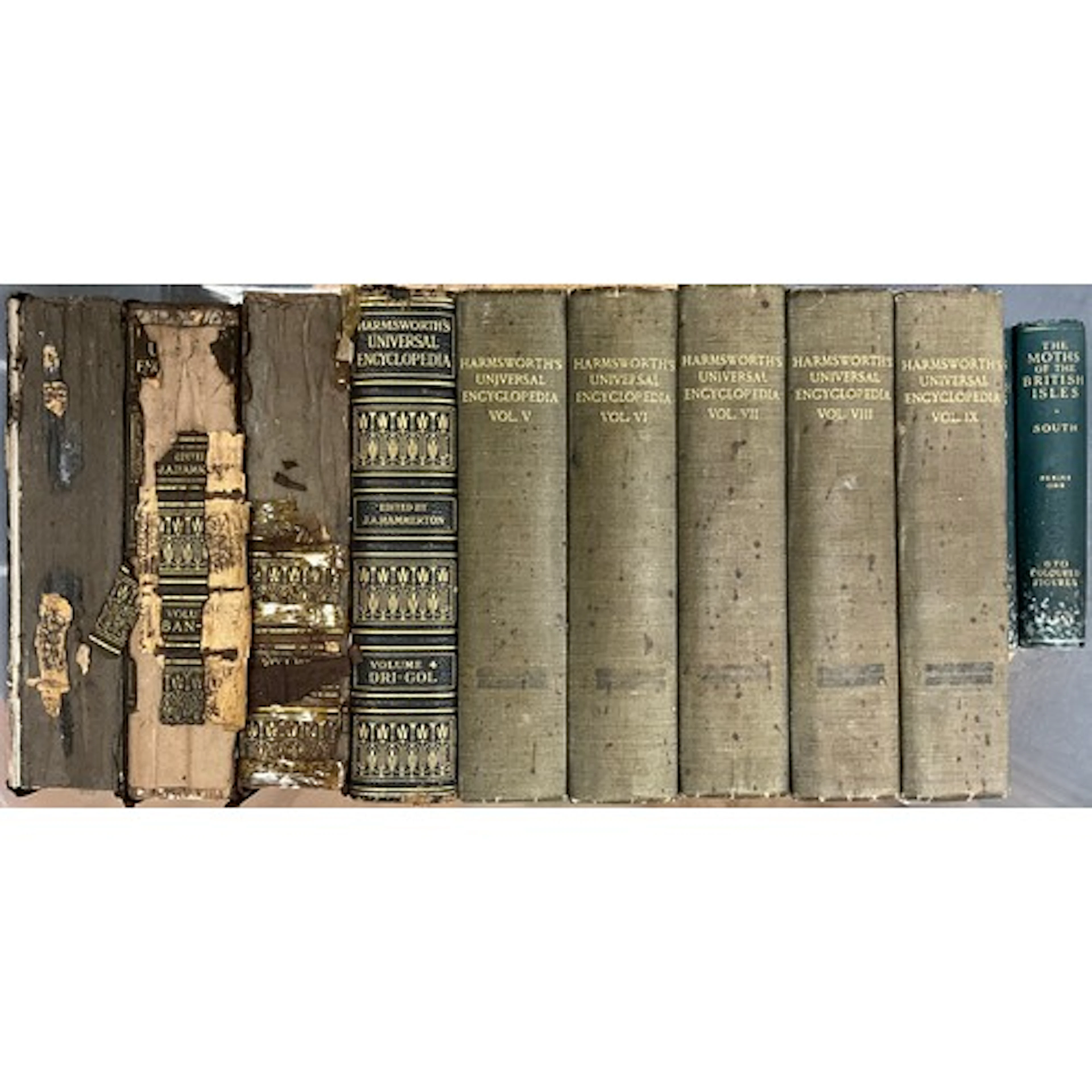 Antiquarian books - Harmsworth’s Universal Encyclopedia, Mot...