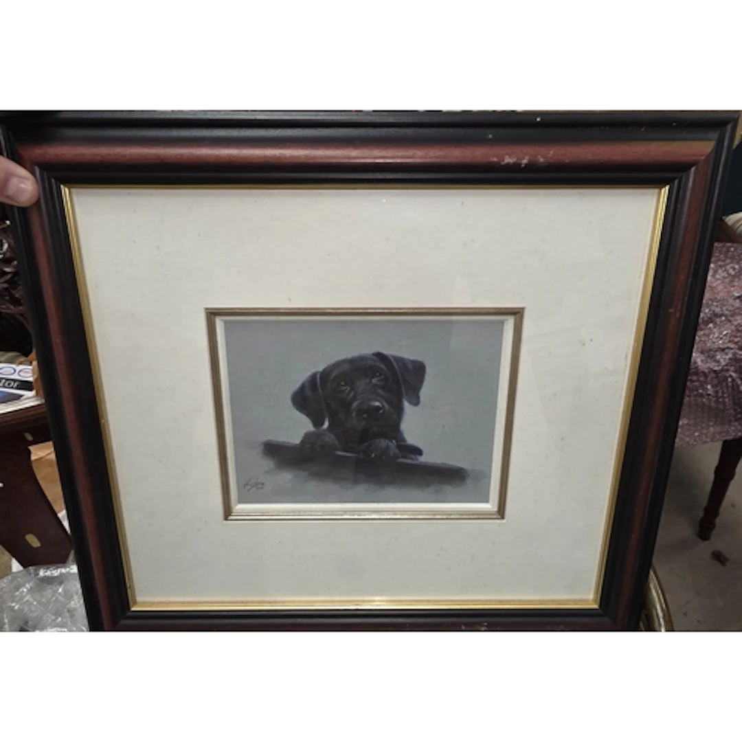 John Silver, original watercolour of a Labrador, signed and ...