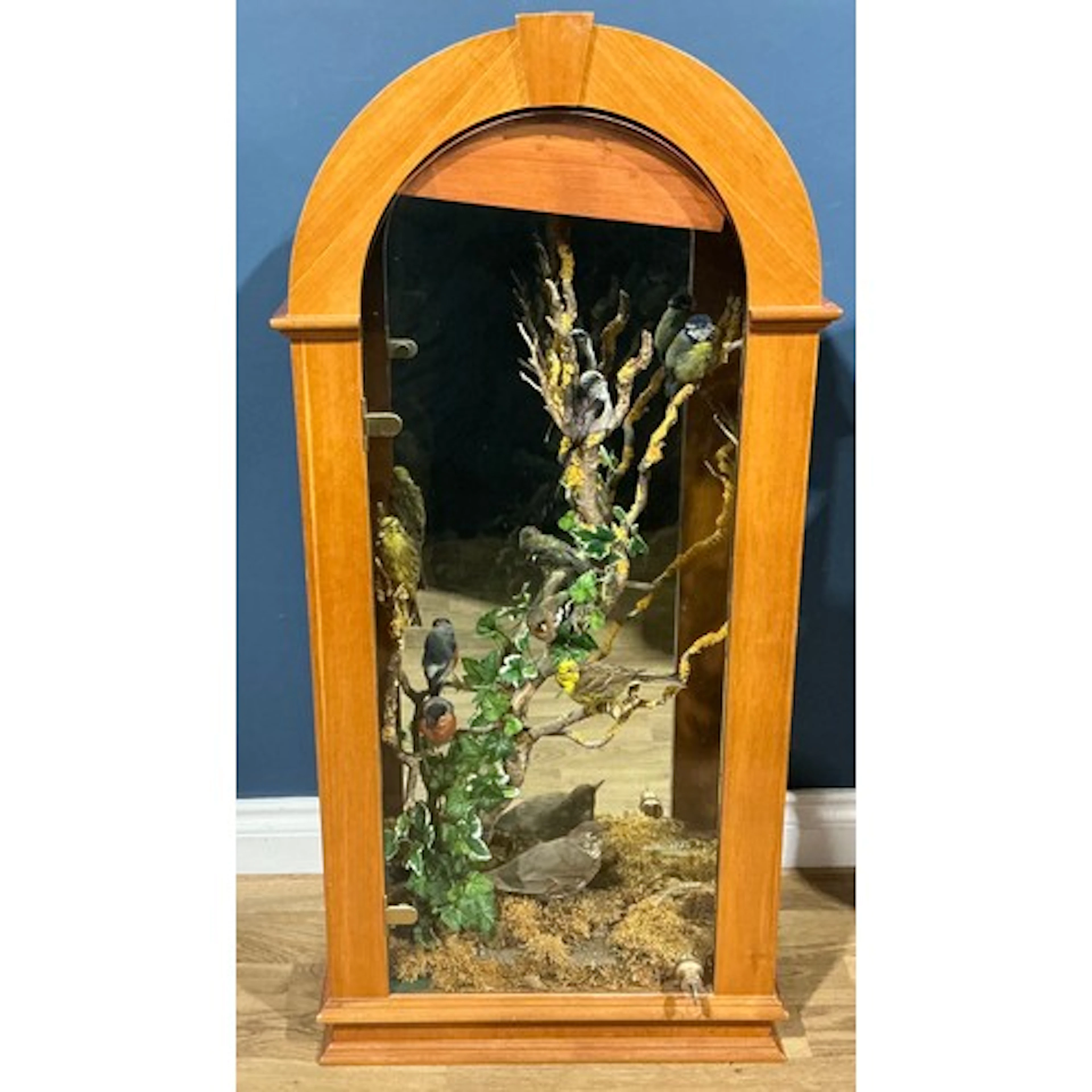 Taxidermy - English birds inc pair of Yellow hammers, Long T...