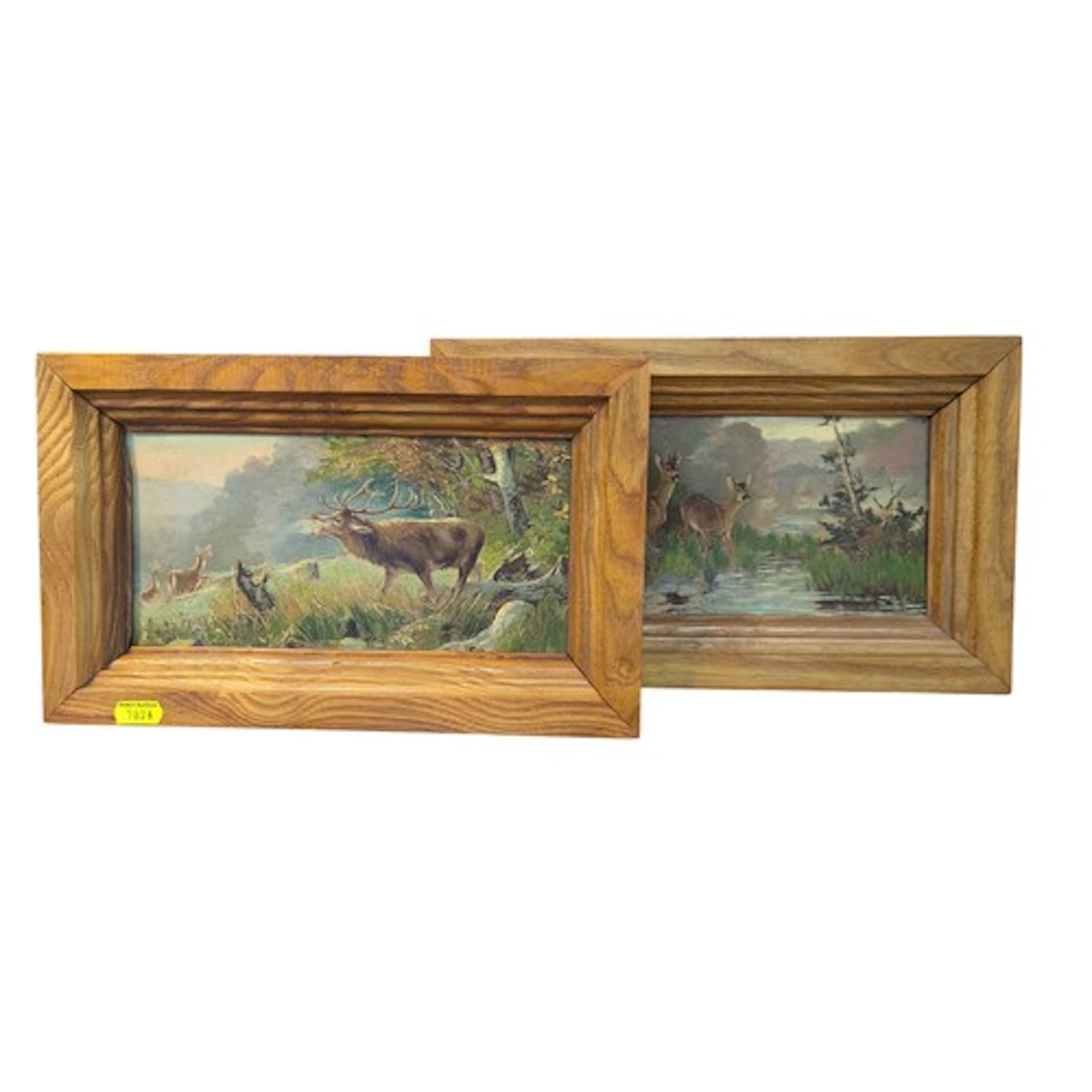 Two oil on canvas wildlife studies of deer, unsigned, framed...