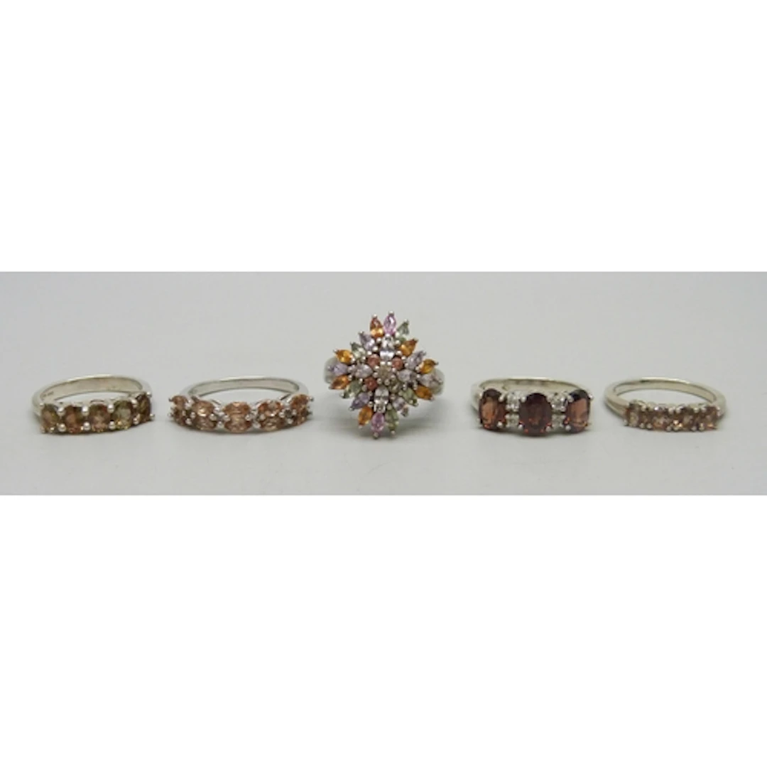 Five TGGC silver and gemstone rings, 17g total