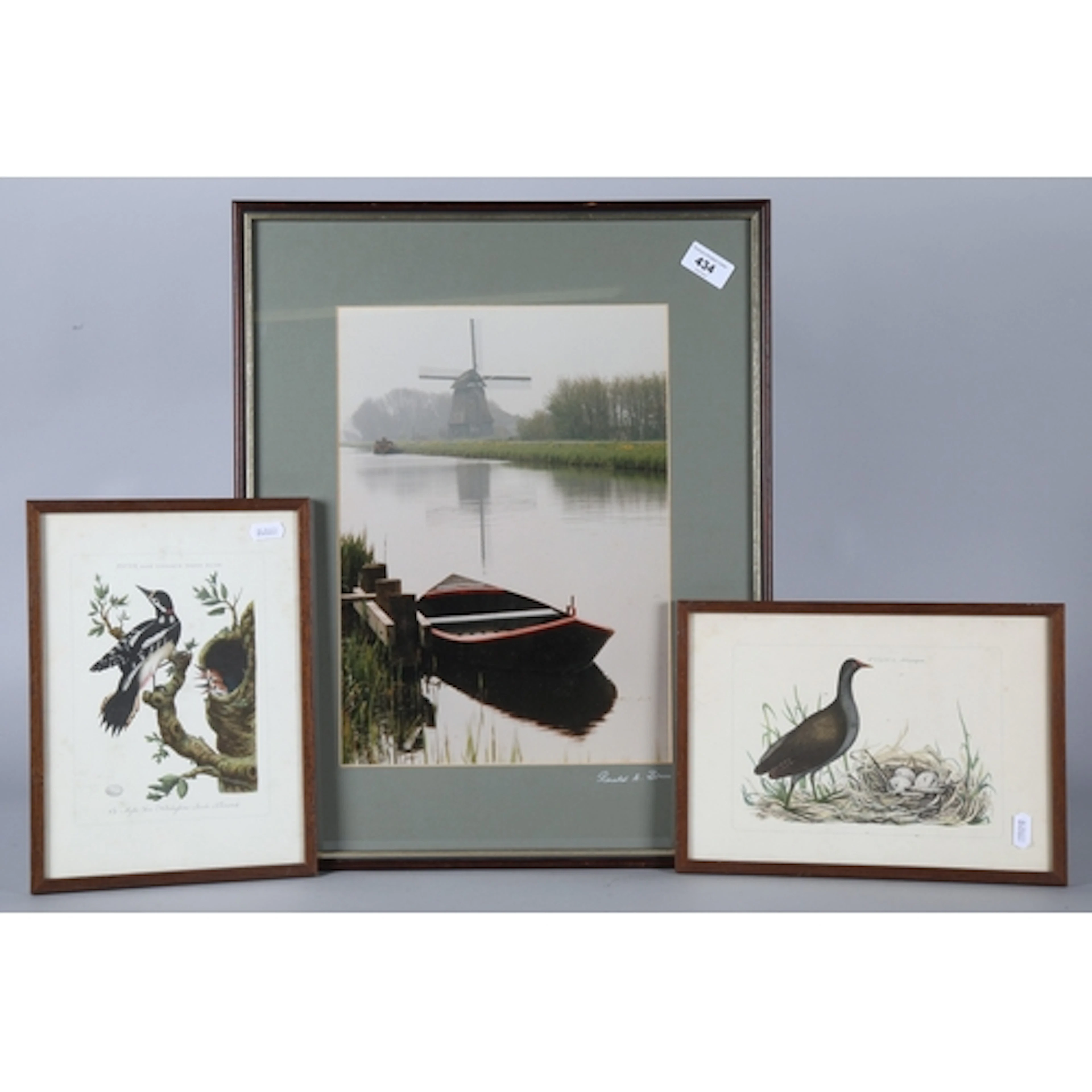 Photograph of a windmill and two bird prints. (3)