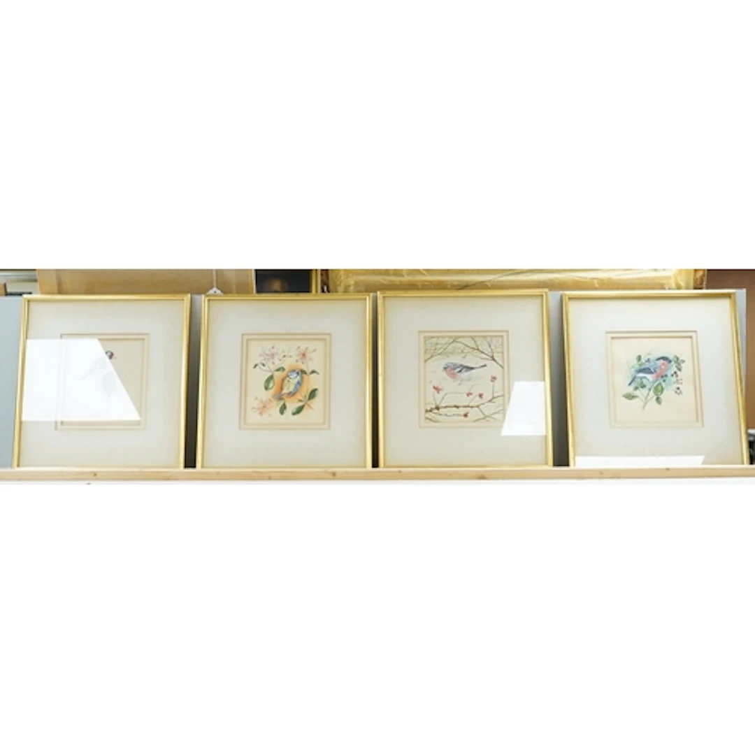 Stephen Thomas, studies of birds, each signed, a set of four...