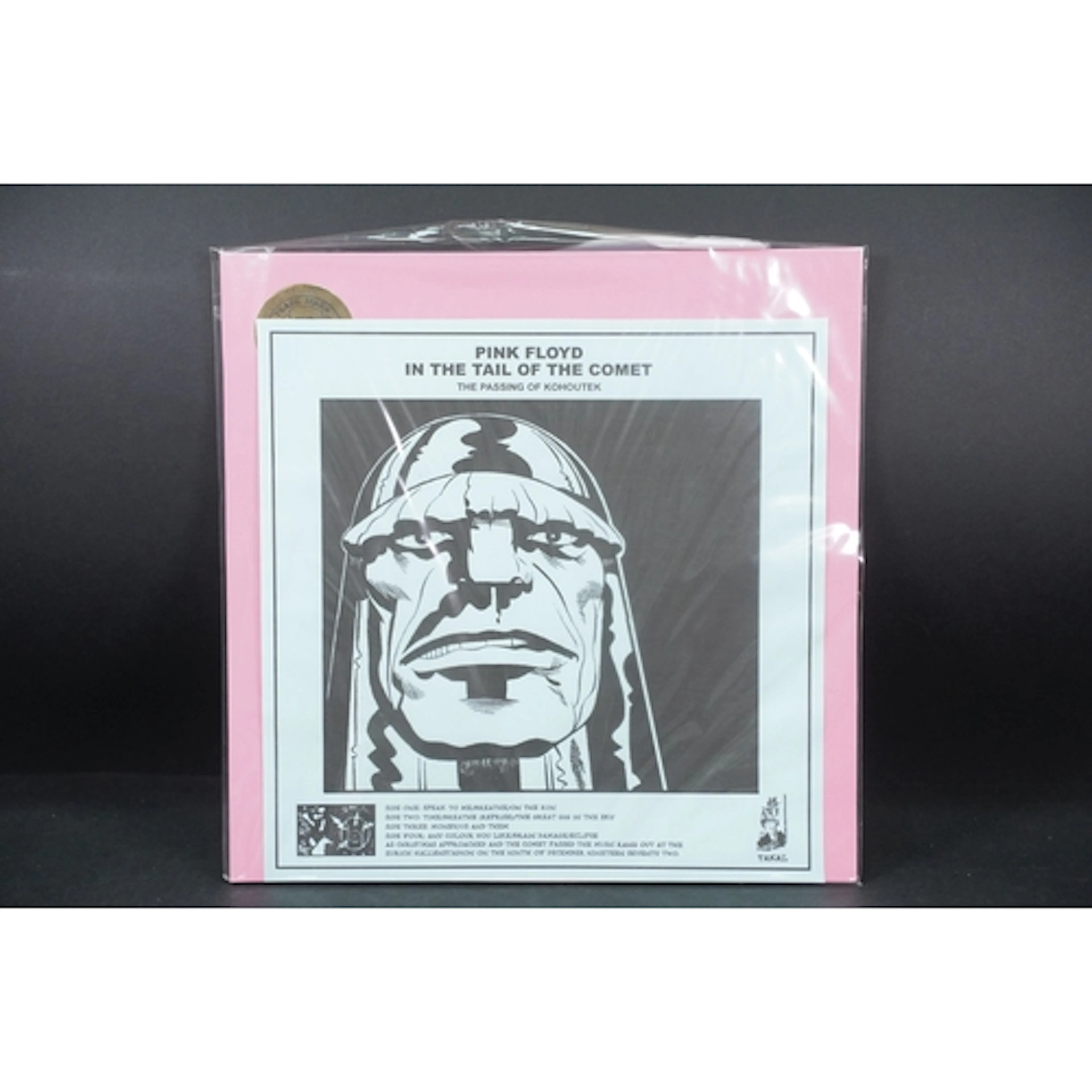 Vinyl / Acetate - Pink Floyd – In The Tail Of The Comet (The...