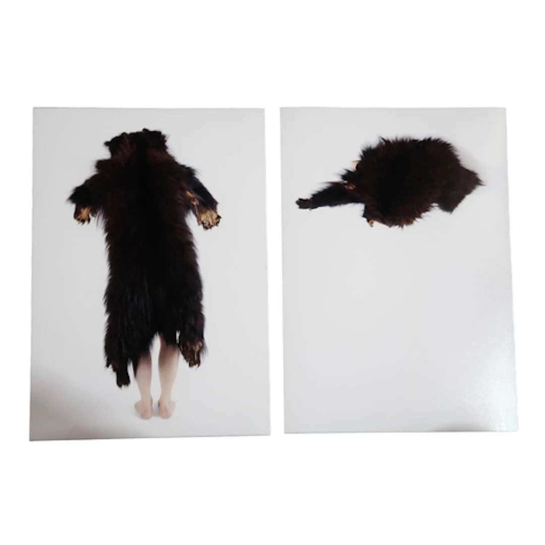 ALEXA WRIGHT (BRITISH CONTEMPORARY) BEARS Photog...