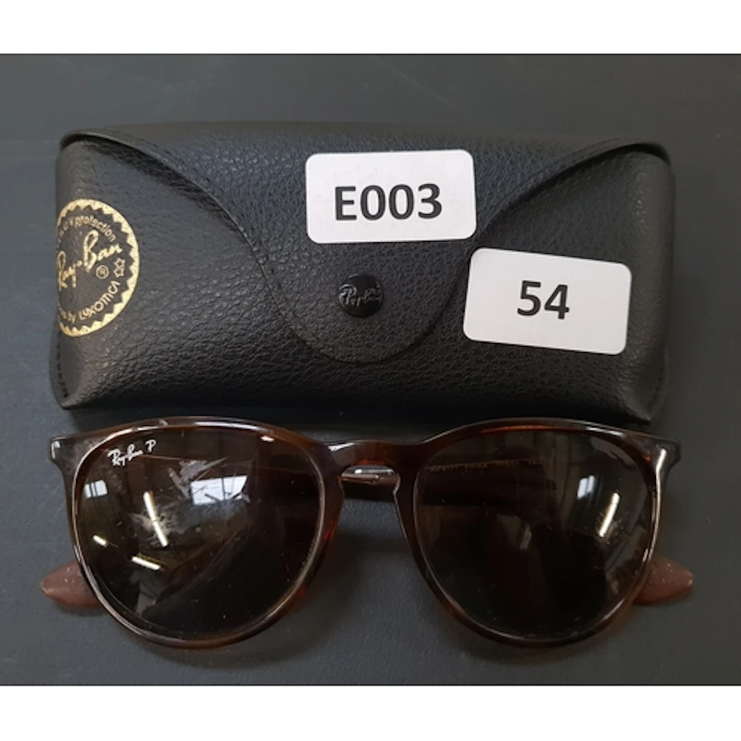 PAIR OF SUNGLASSES RAY BAN RB 4171 ERIKA INC. CASE