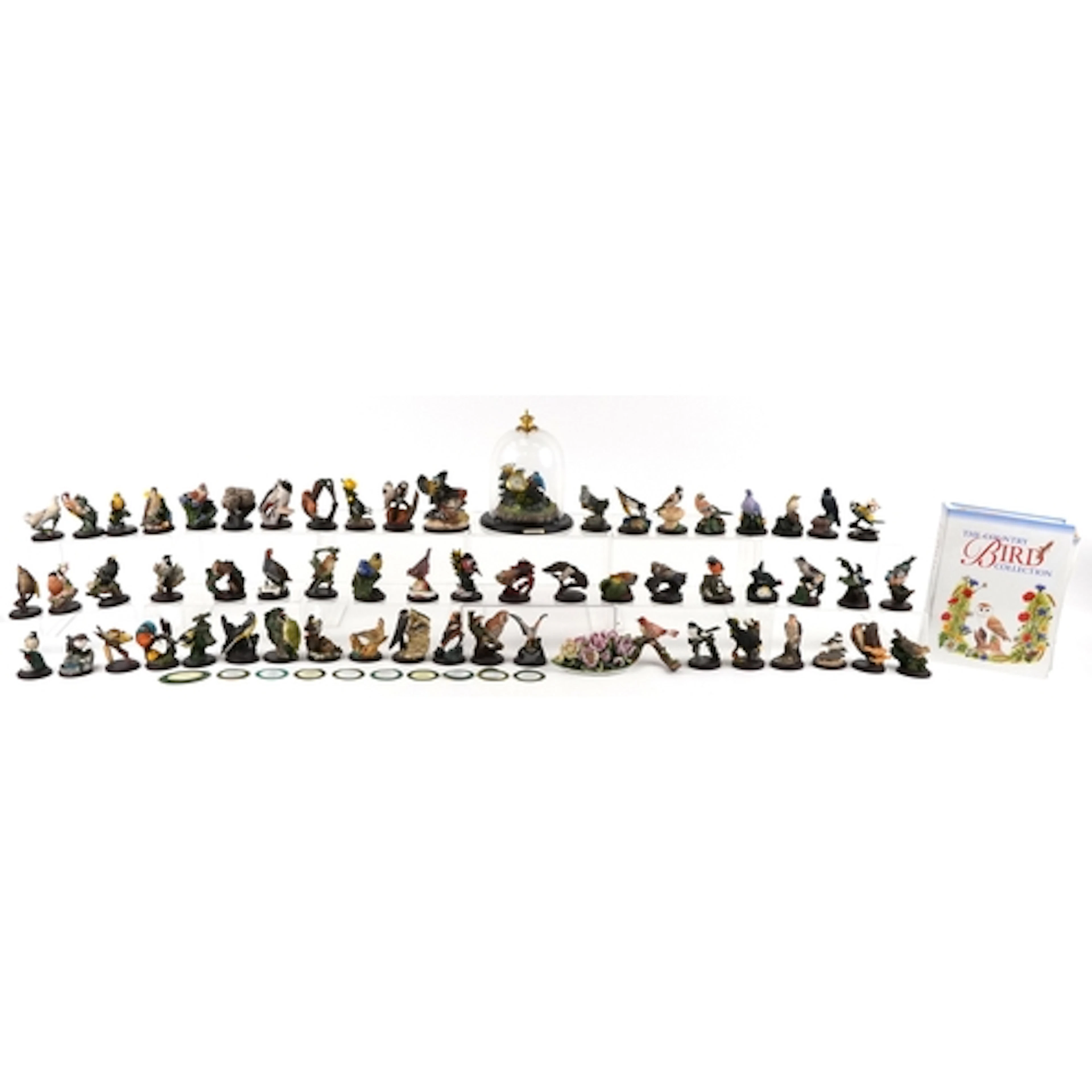 The Country Bird Collection - Large collection of decorative...