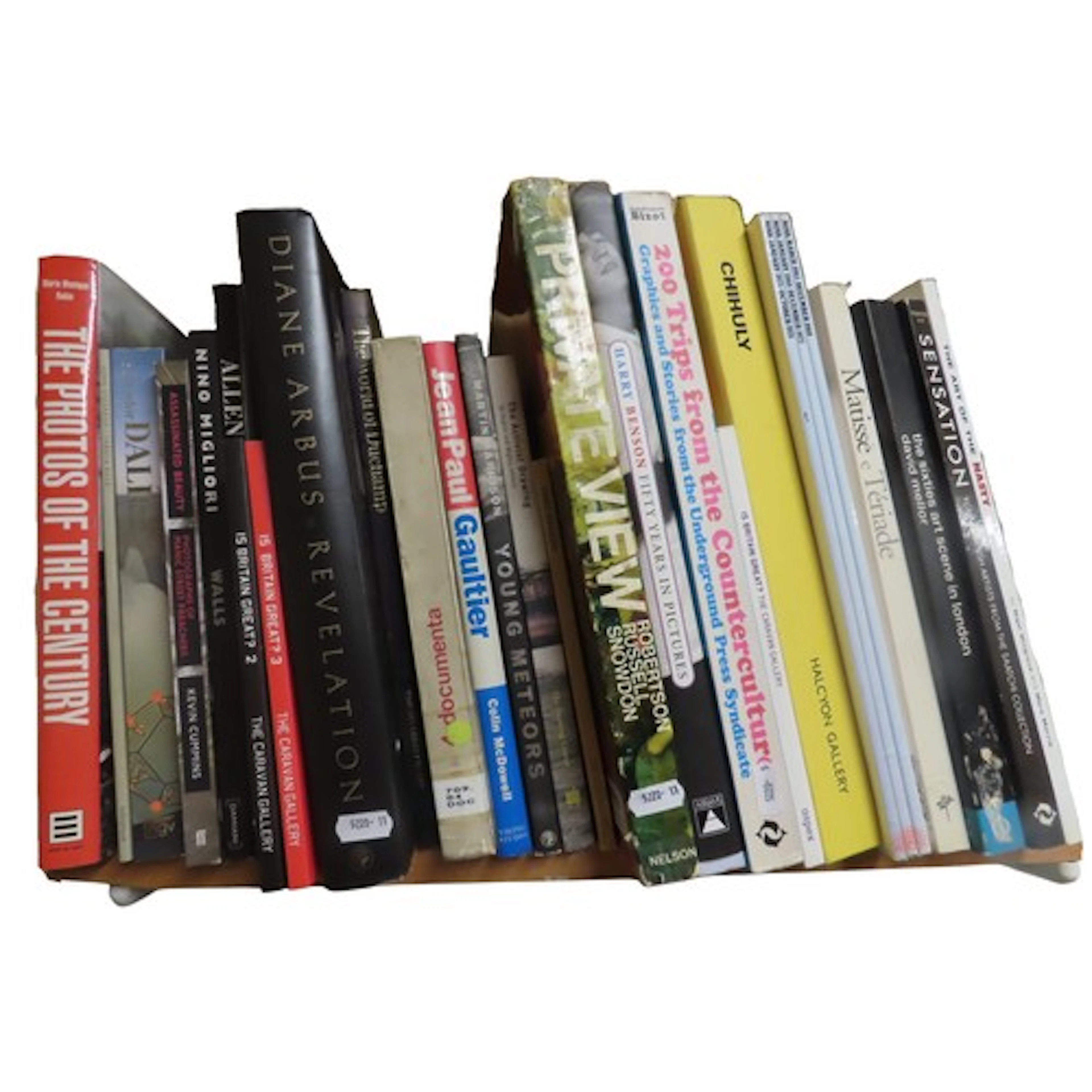 A collection of diverse art books mainly 20th Century relate...