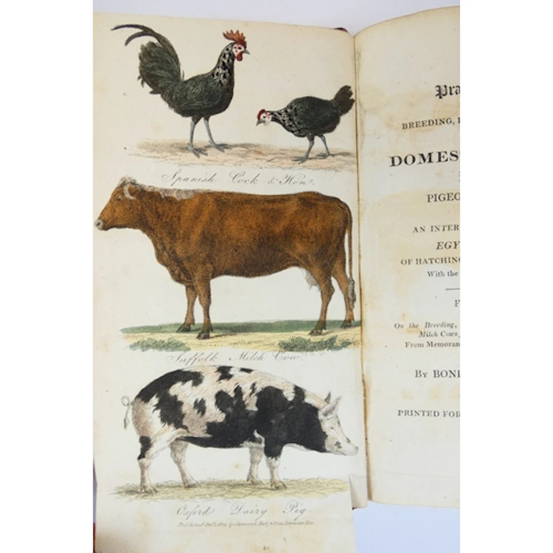 MOUBRAY BONINGTON (JOHN LAWRENCE). A Practical Tr...