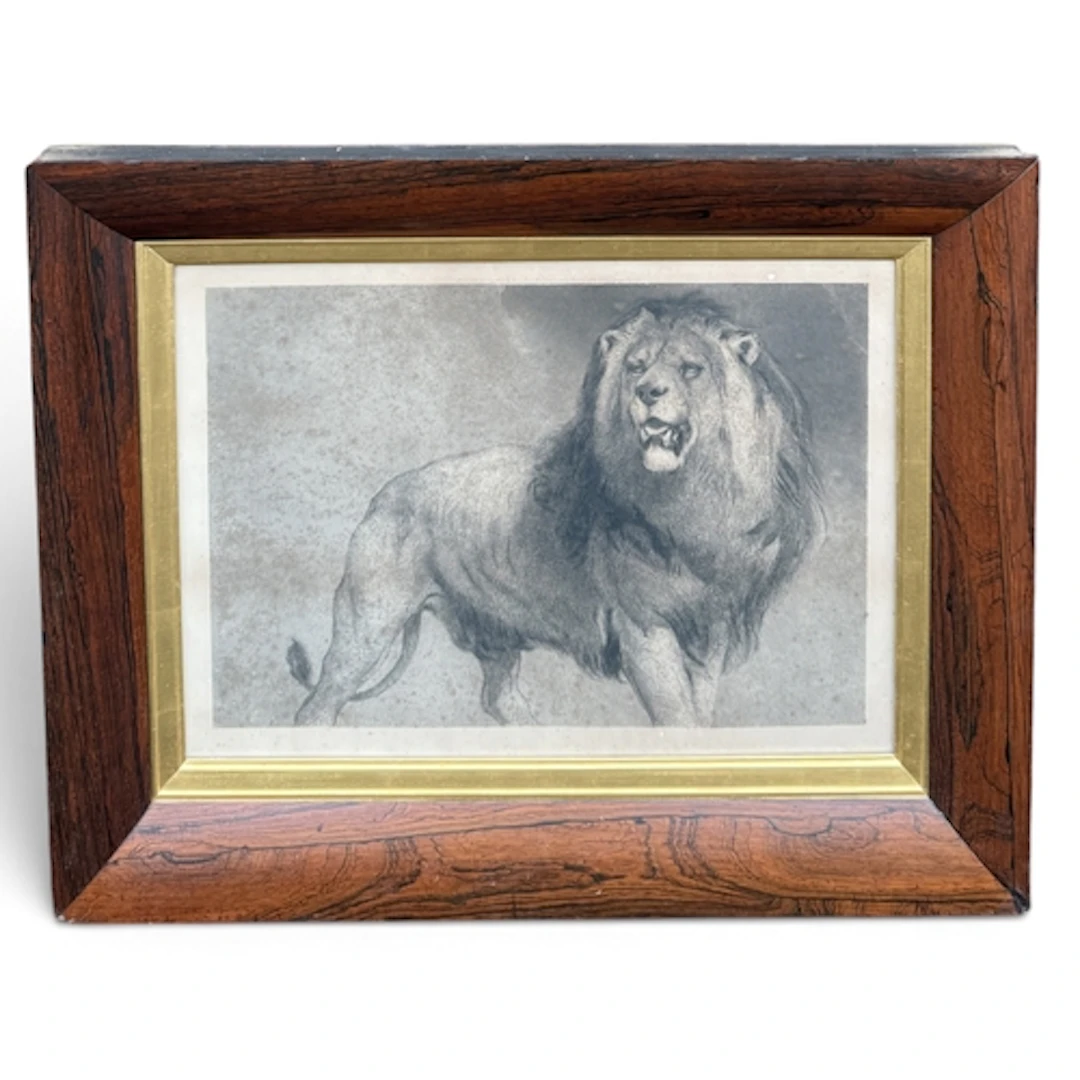 AFTER SIR EDWN LANDSEER (1802-1873): LION Black and white en...