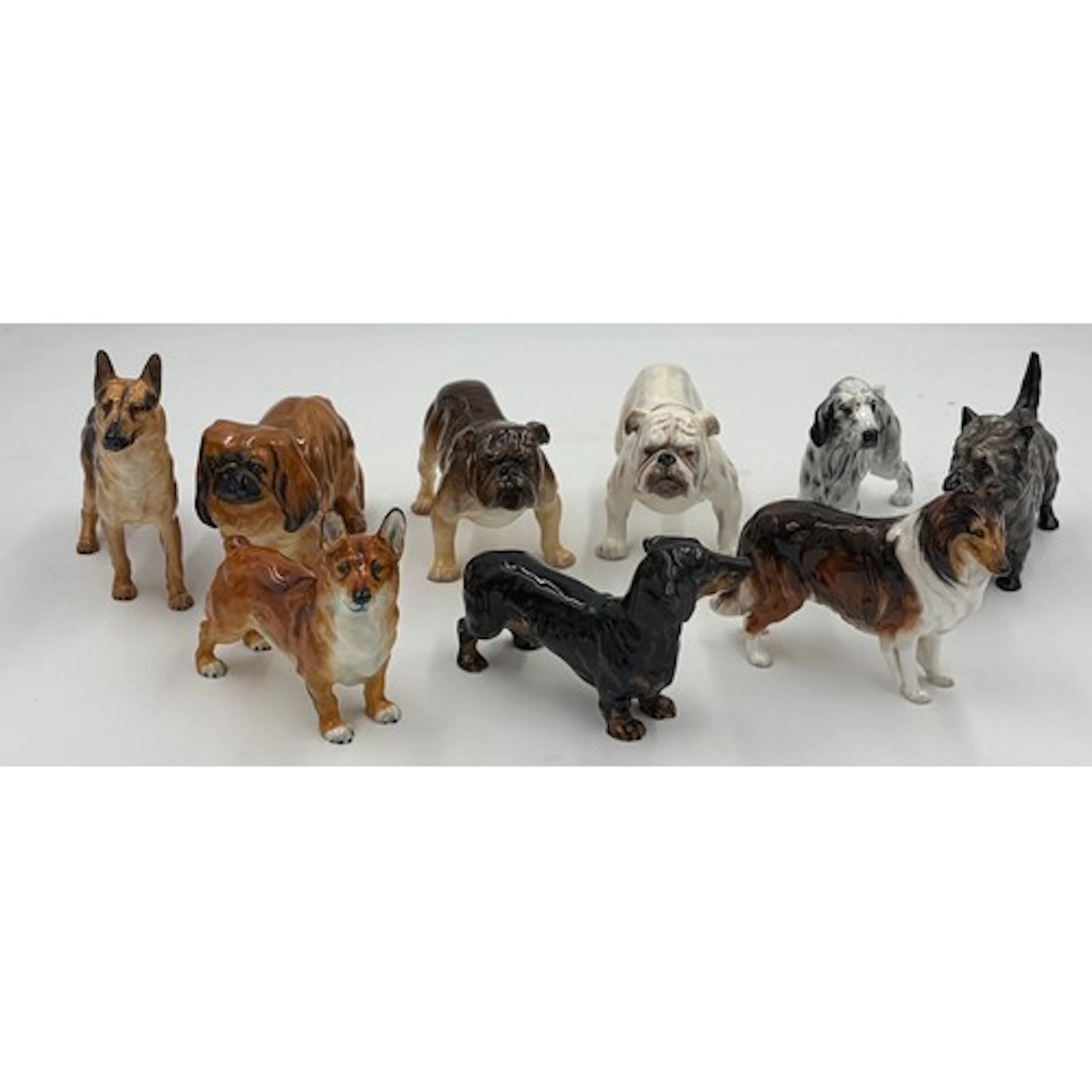 A collection of 9 x Royal Doulton dogs to include: 2 x Bulld...