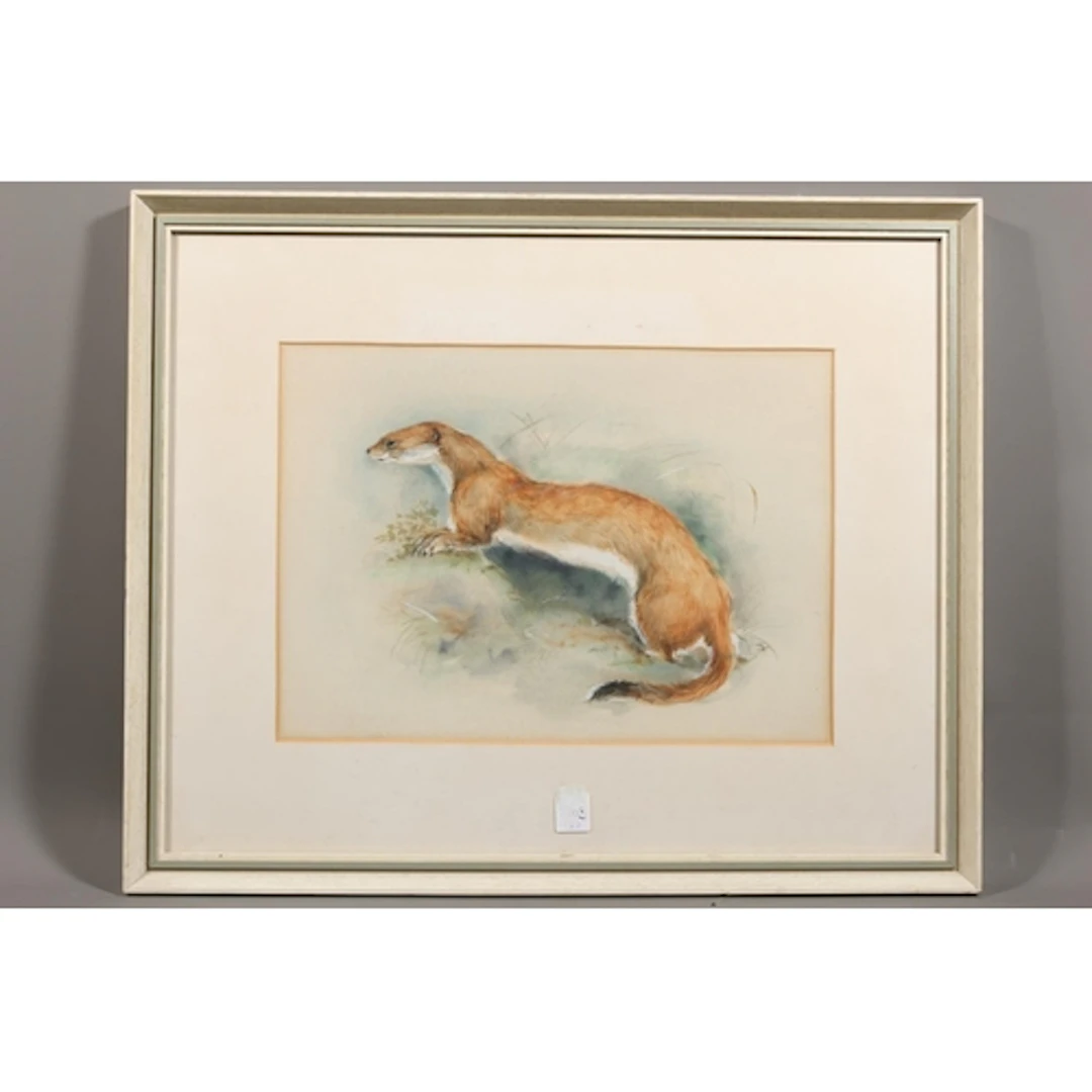 NORMAN ORR (Scottish 1924-1993), pine martin, watercolour pa...