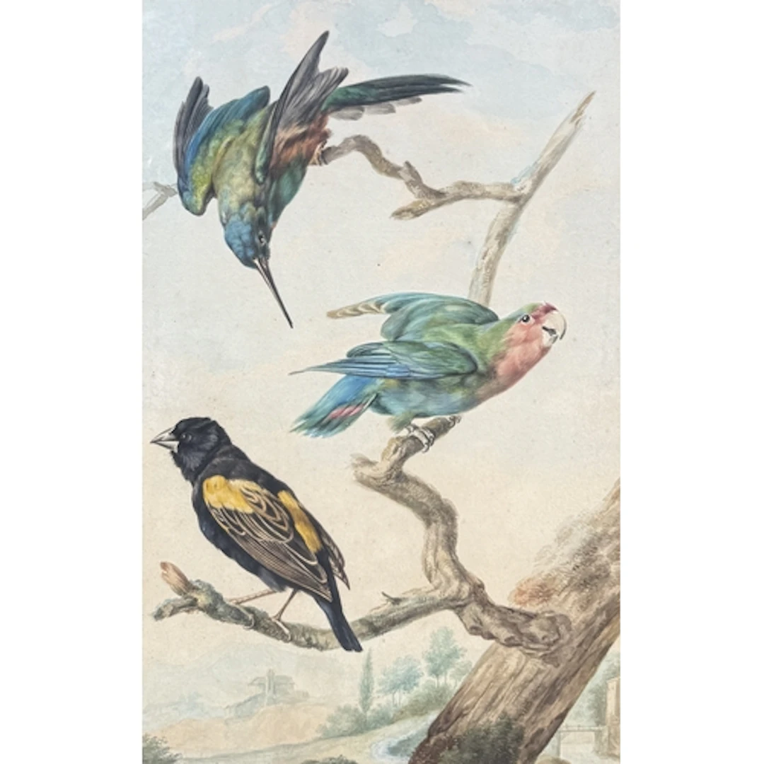 19TH CENTURY ENGLISH SCHOOL: THREE BIRDS ON ONE BRANCH Wterc...