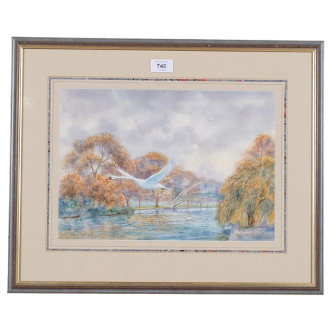 David James, swan flight, watercolour, 25cm x 36cm, framed