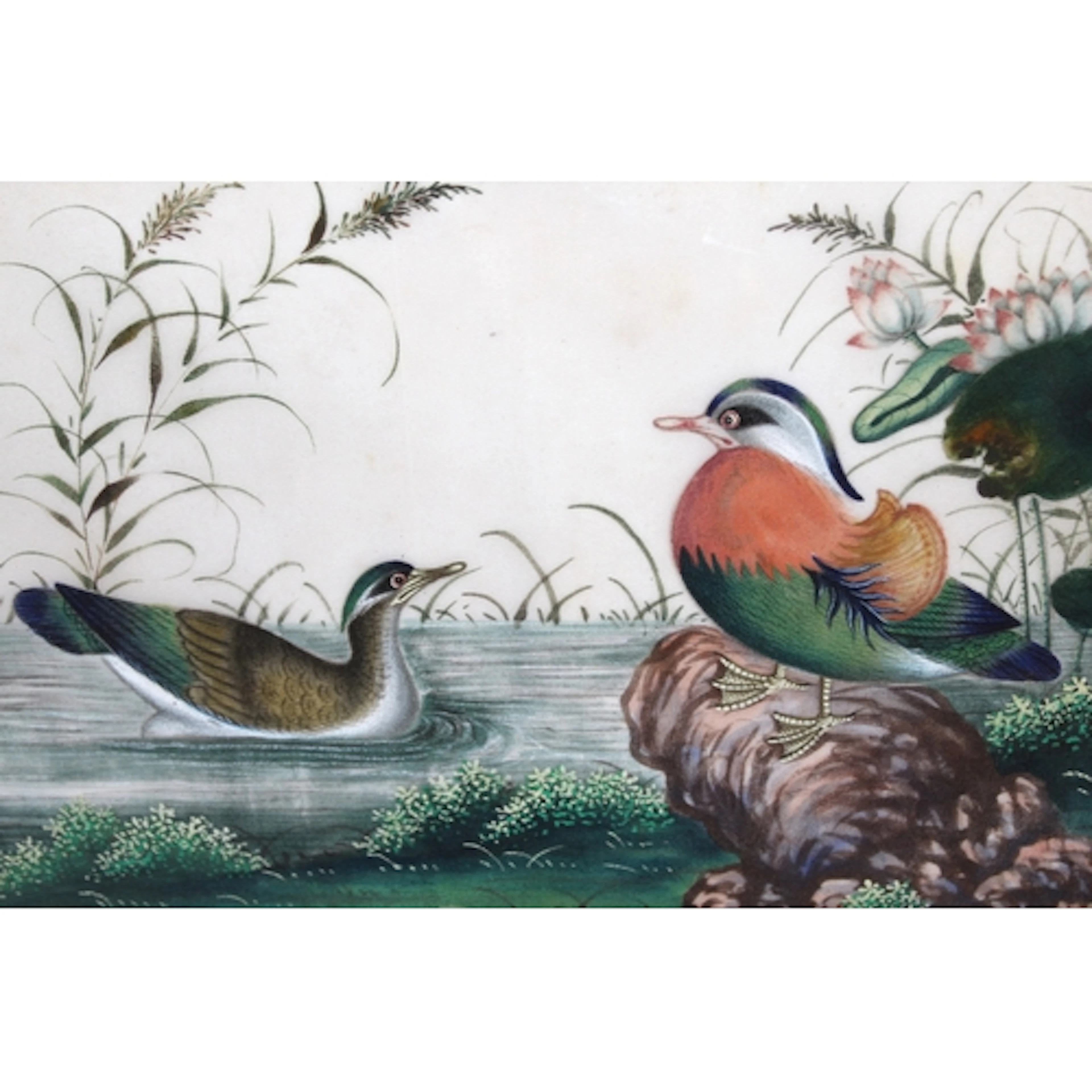 Antique Chinese painting on rice paper, study of exotic bird...
