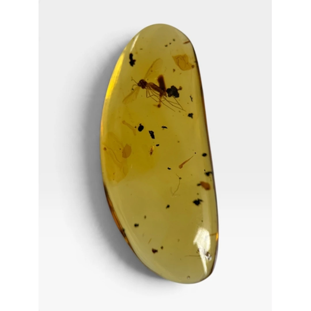 A FLYING INSECT FOSSIL IN AMBER A highly detailed flying ins...