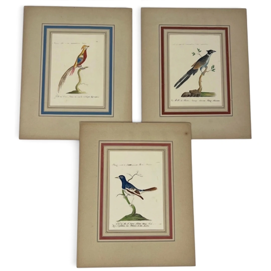 SAVERIO MANETTI (ITALIAN, 1723-1784): THREE BIRD ENGRAVINGS ...