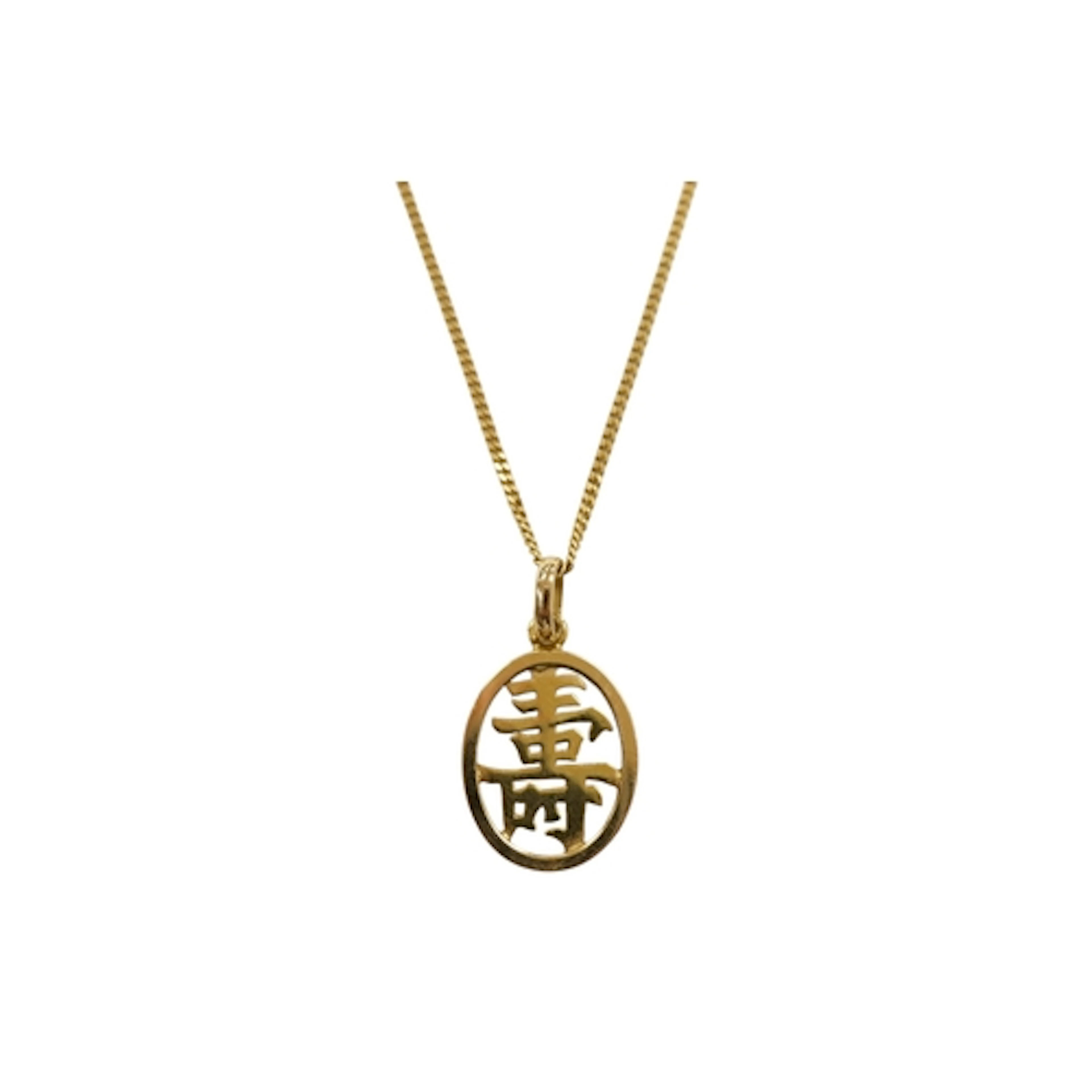 A Chinese 14k Shou pendant, on a 9ct gold chain, 6.4 grams....