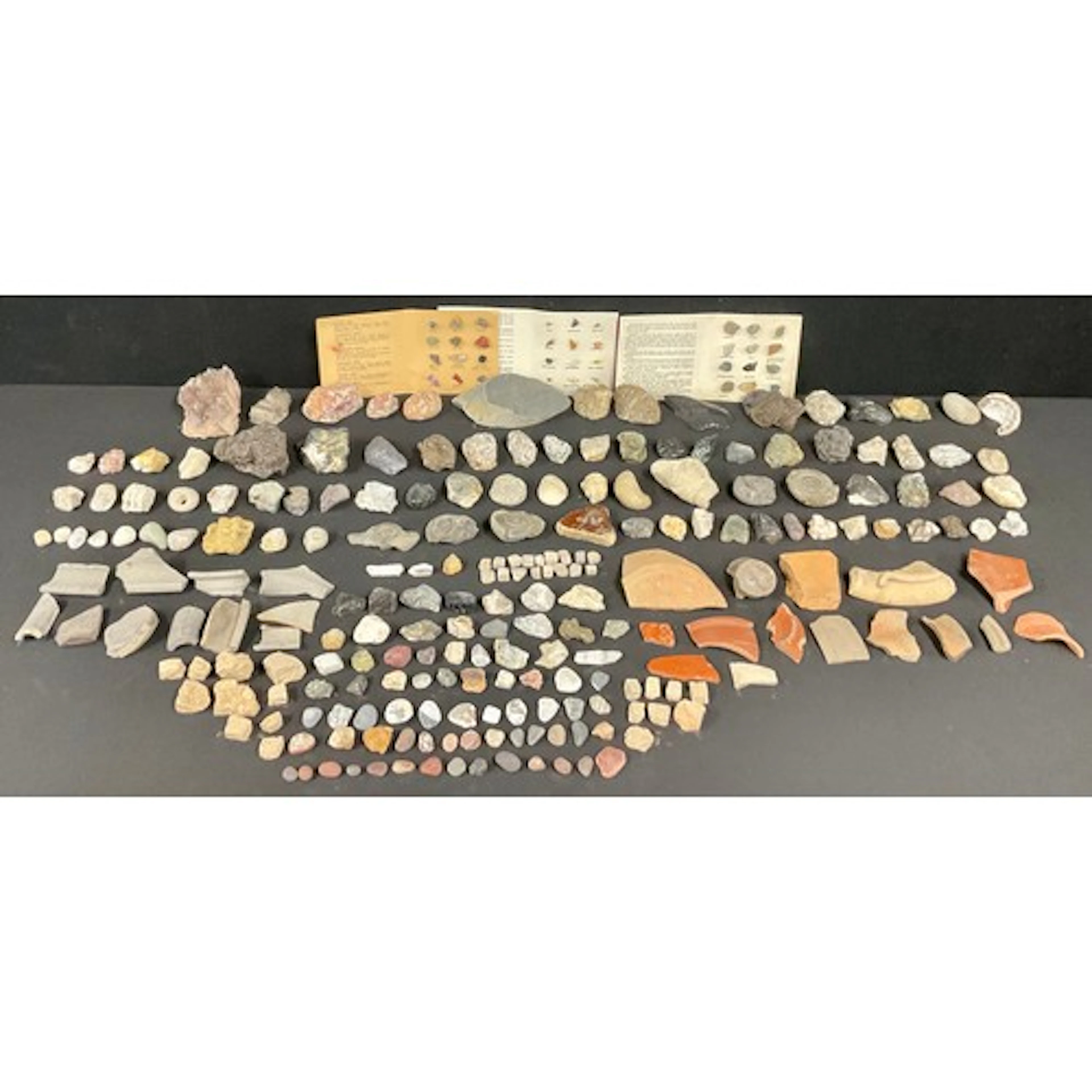 Geology & Archaeology - various Lower Jurassic ammonites, Wh...