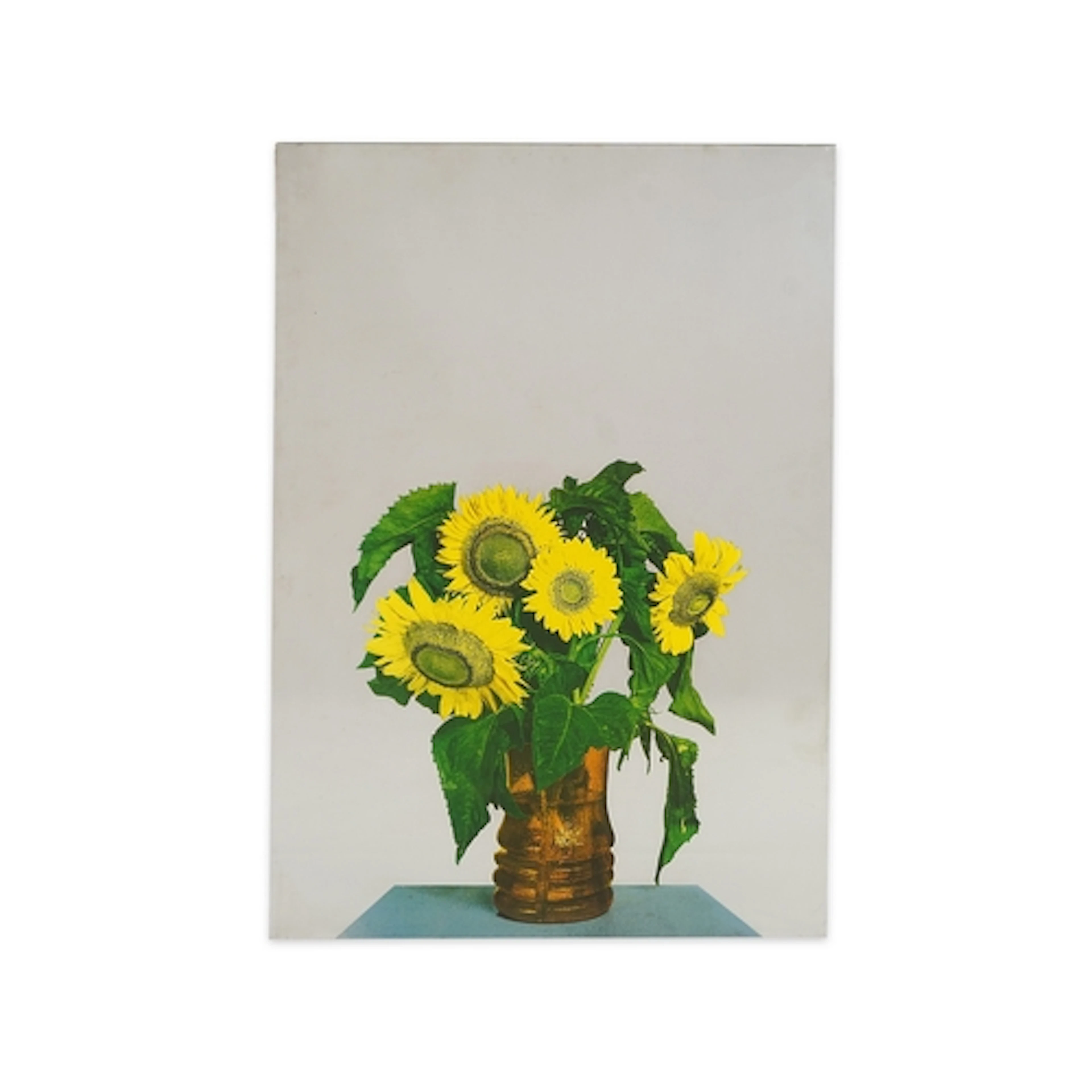 § Michelangelo Pistoletto (Italian, b. 1933) 'Girasoli (Sun...