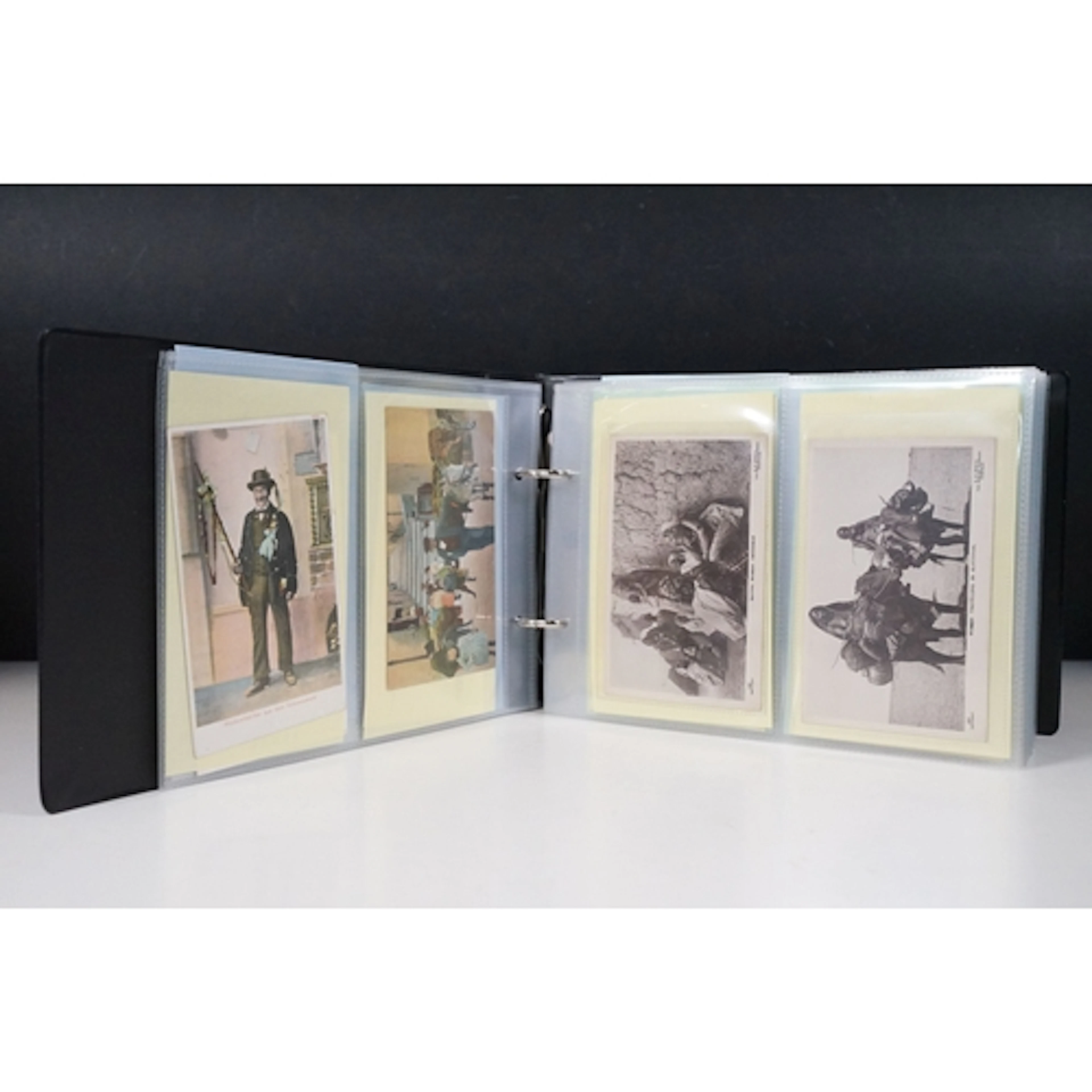 A postcard album of Native and Ethnic printed and real photo...