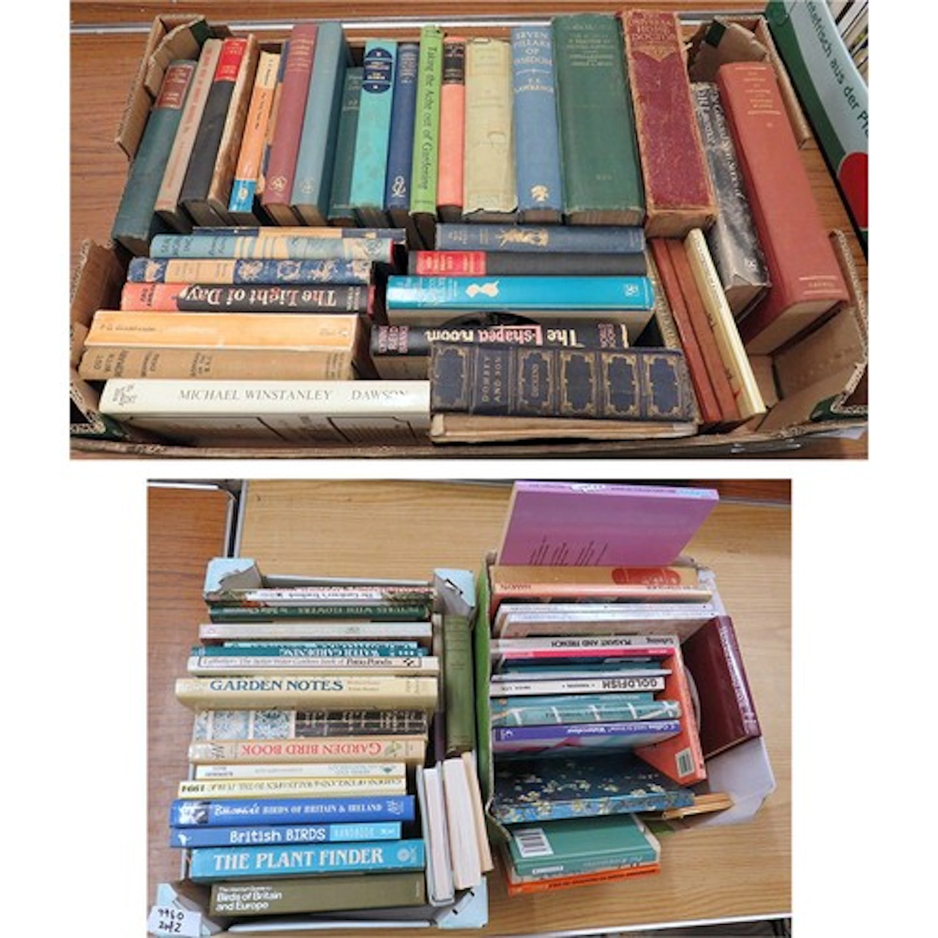 Books incl. The Seven Pillars of Wisdom, The Year of The Lio...
