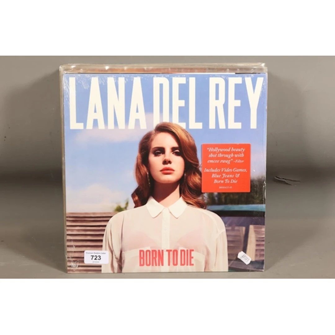 Mixed vinyl records to include Lana Del Rey Born to Die, Nor...
