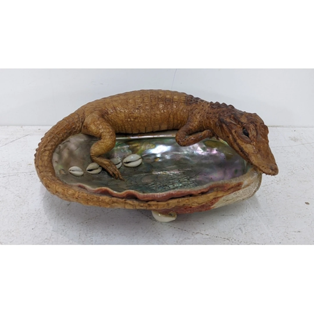 A taxidermy crocodile mounted shell dish 7H x 22W Location: ...