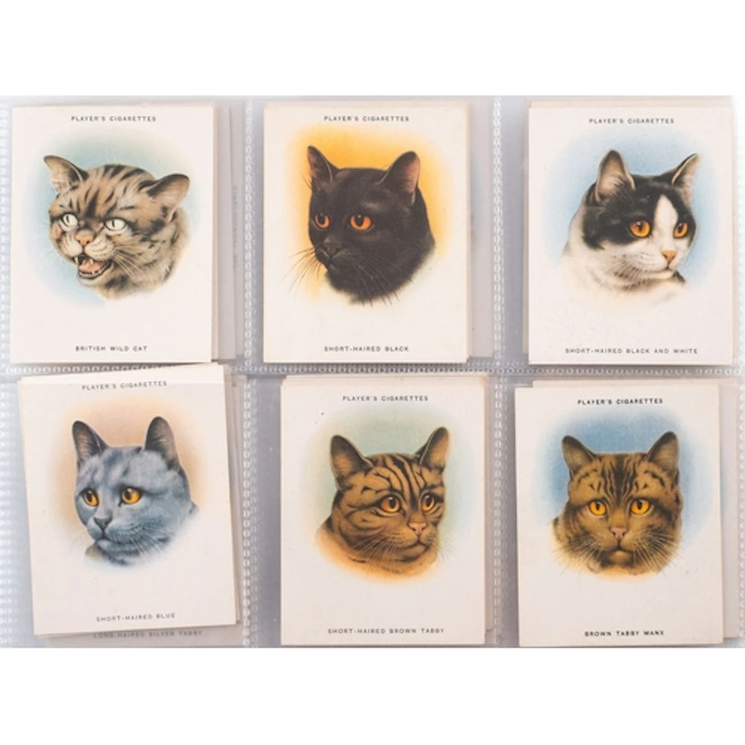 An album of Players cigarette cards, including ''Cats', 'Gam...