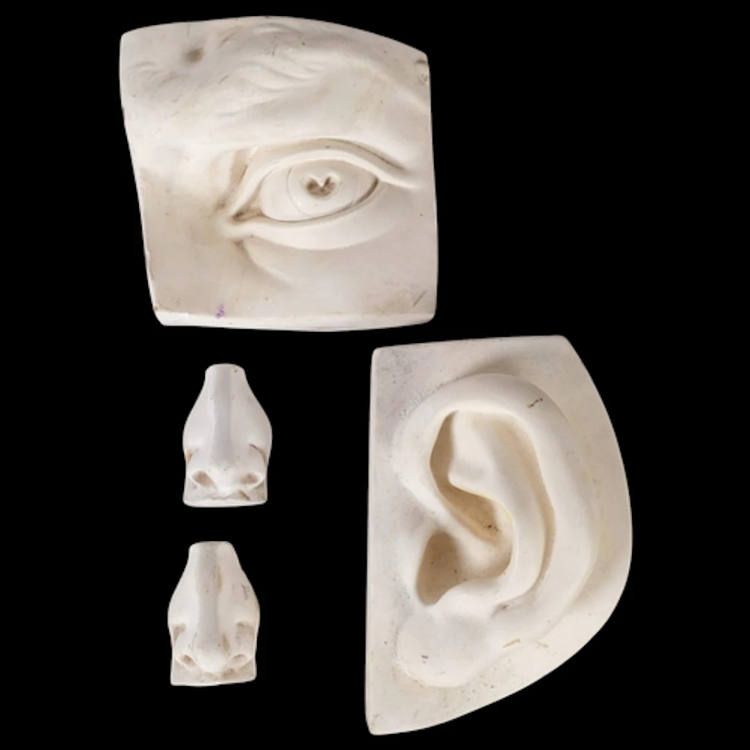 A group of 4 plaster relief anatomical sculptural plaques, e...