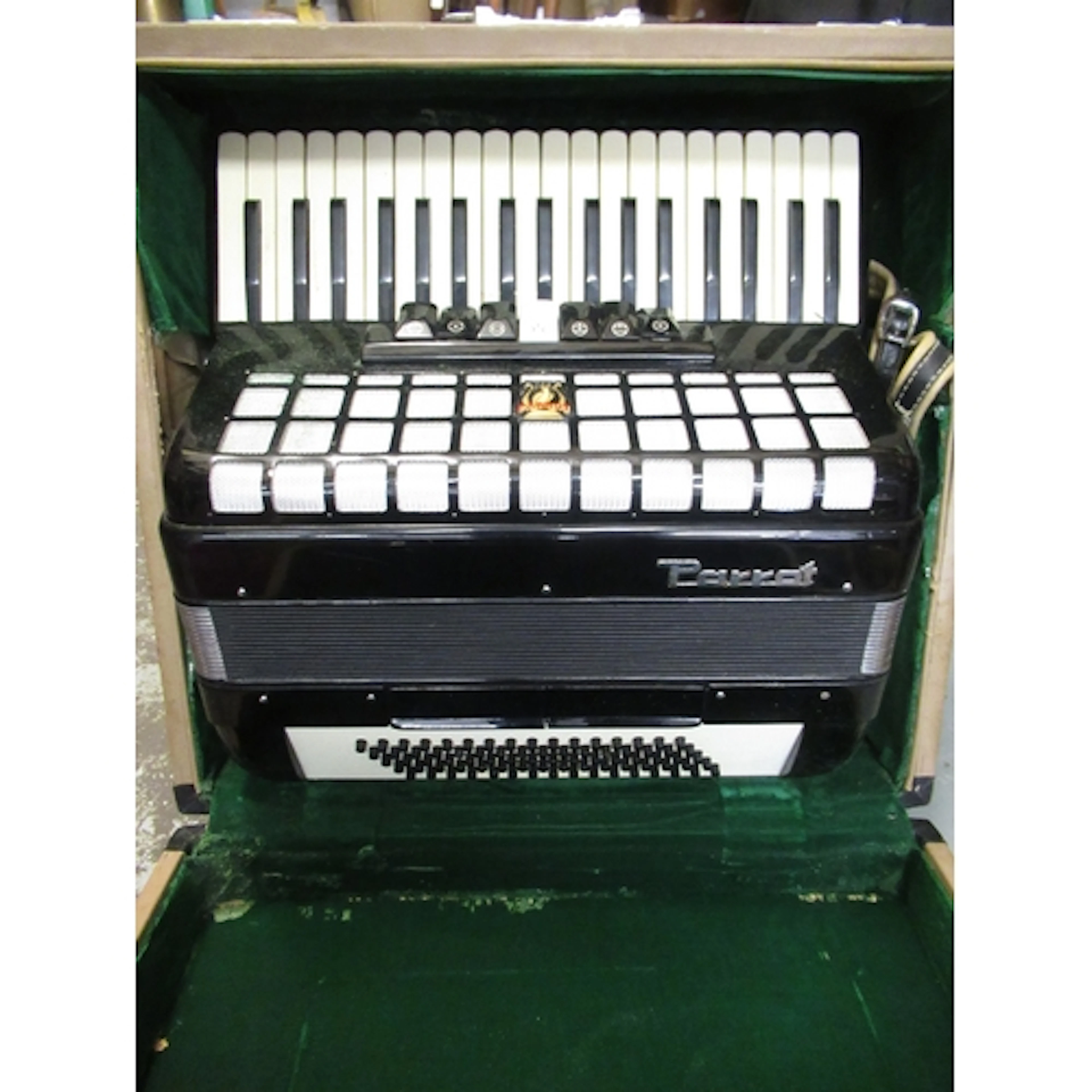 Parrot piano accordion in a fitted case
