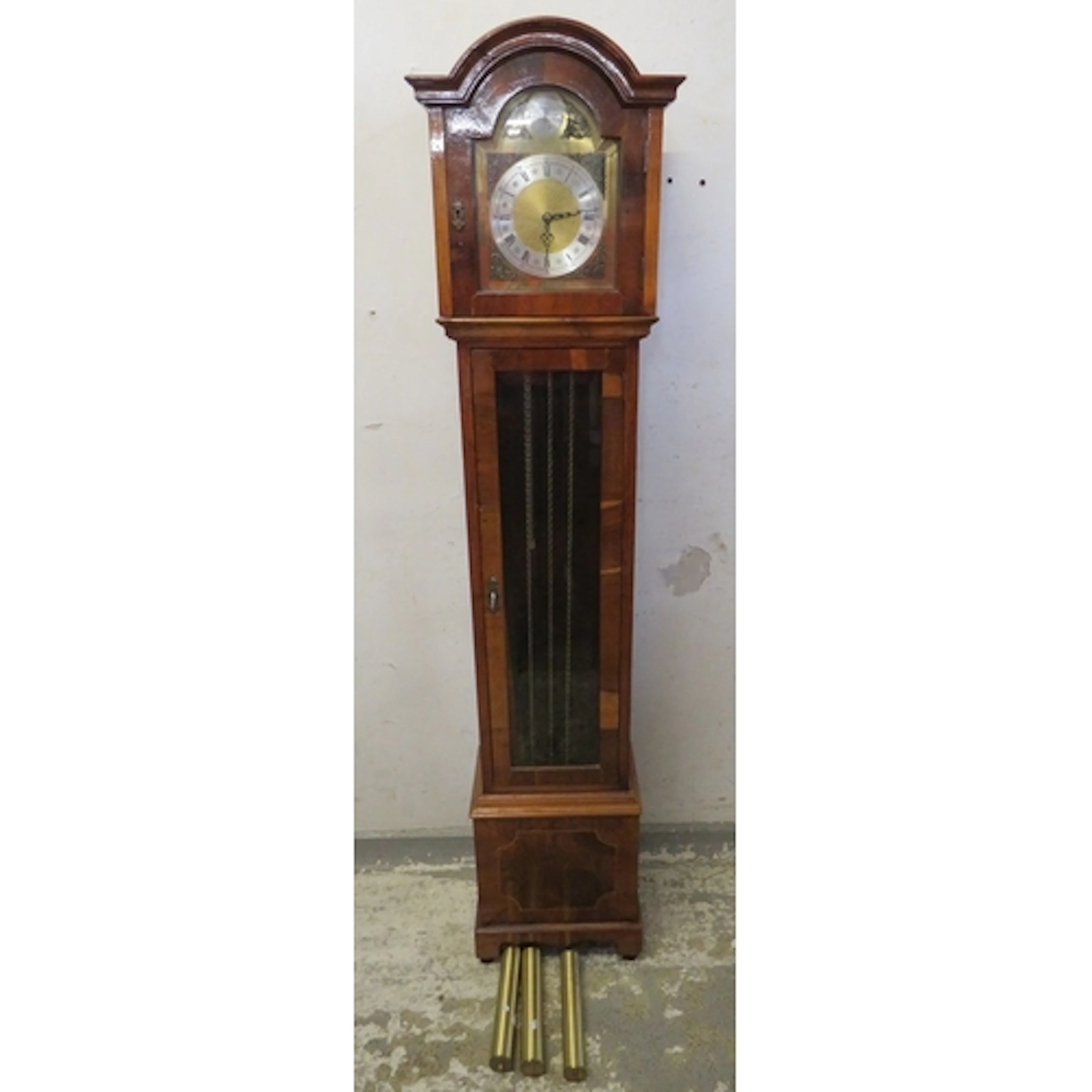 Tempus Fugit Longcase Clock, brass dial, Roman numerals, dom...