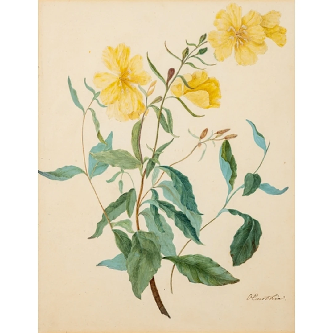 Attributed to James Holland (British, 1799-1870) - 'Floweri...