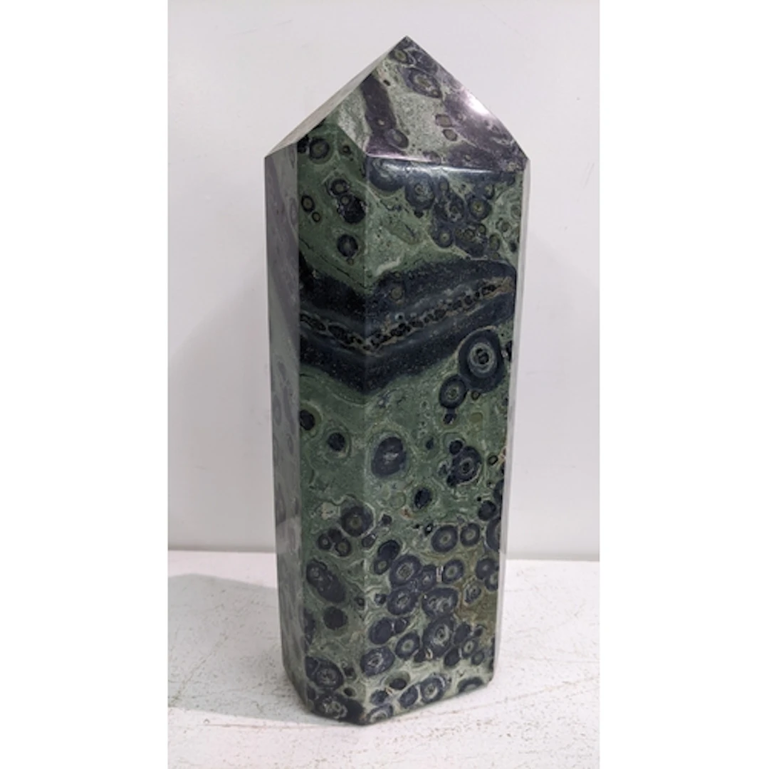 A Kambaba fossilised mineral specimen, 29.5h x 11W Location:...