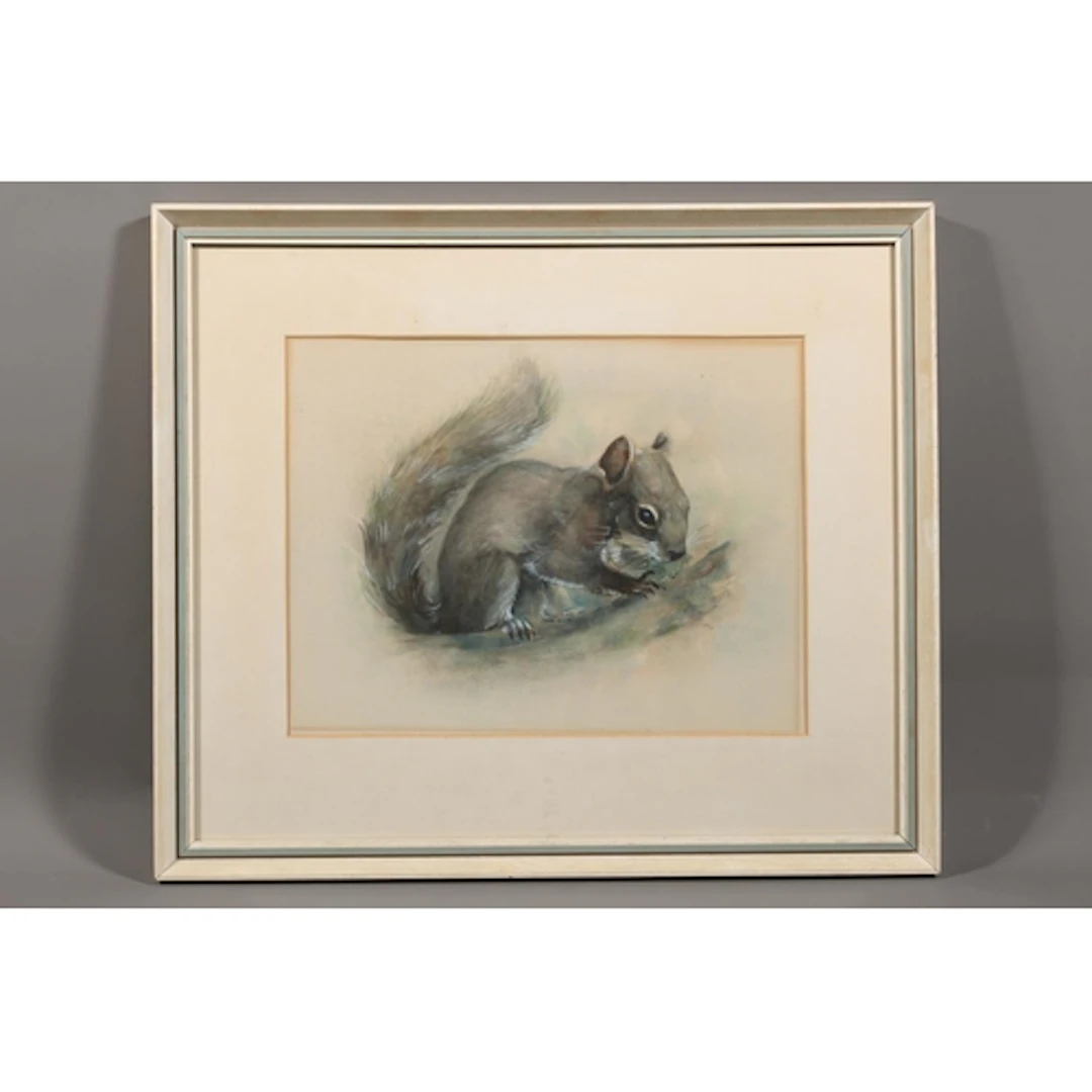 NORMAN ORR (Scottish 1924-1993), grey squirrel, watercolour ...