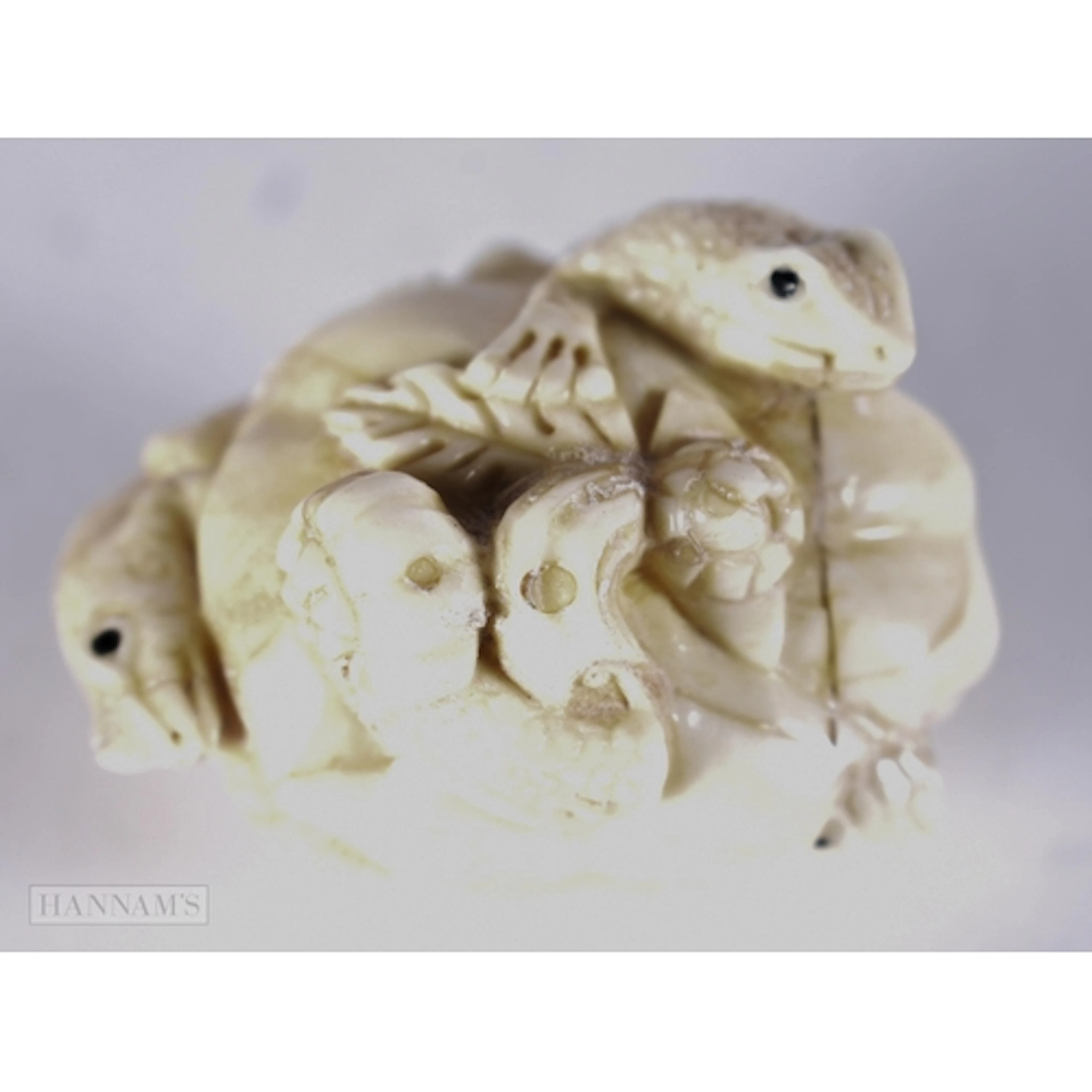 A CARVED BONE FROG NETSUKE. 4.6 x 3.6 x 3.5 cm