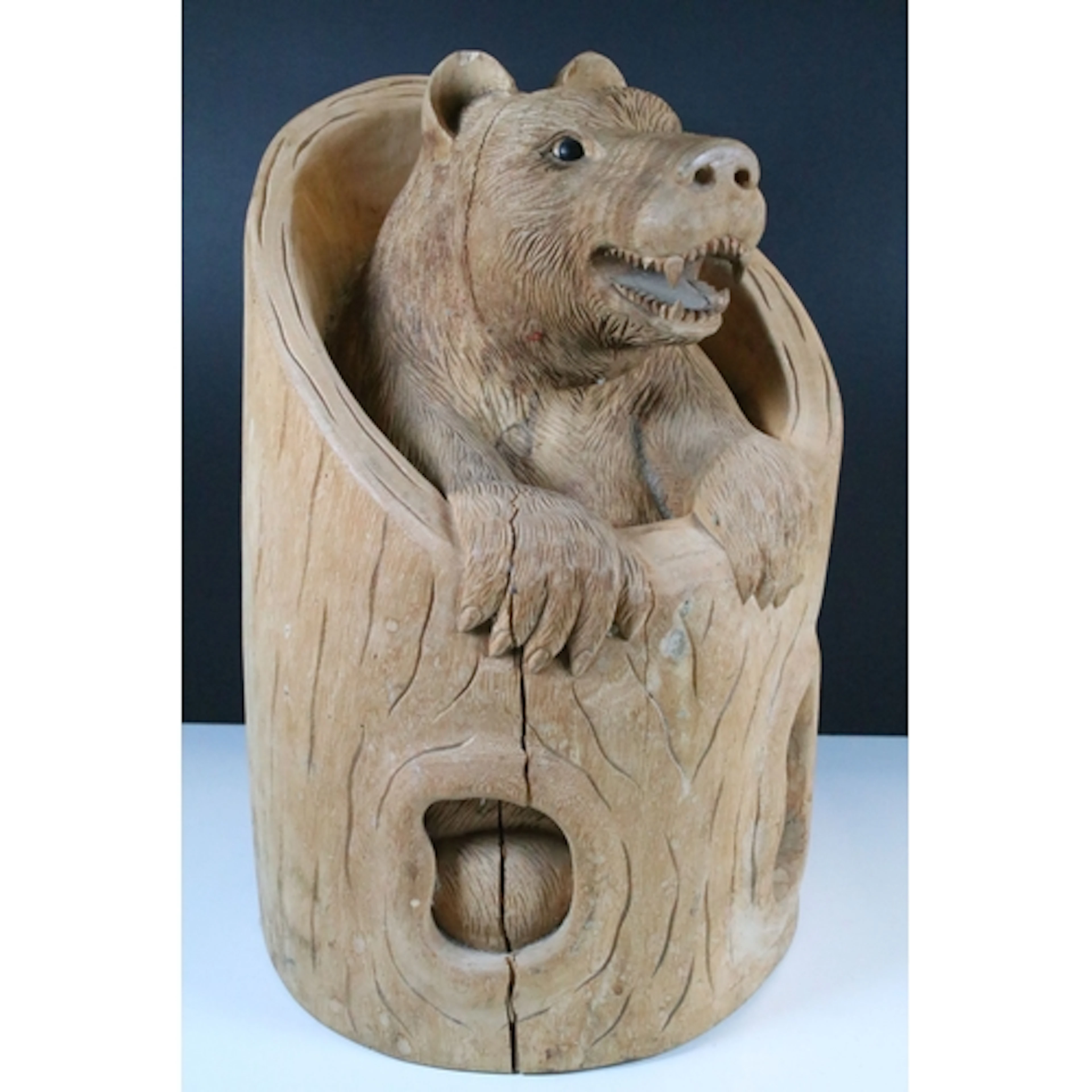 20th Century carved wooden model of a growling bear within t...