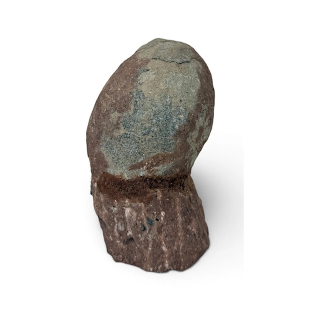 A HADROSAUR DINOSAUR EGG From the late Cretaceous period, 6...