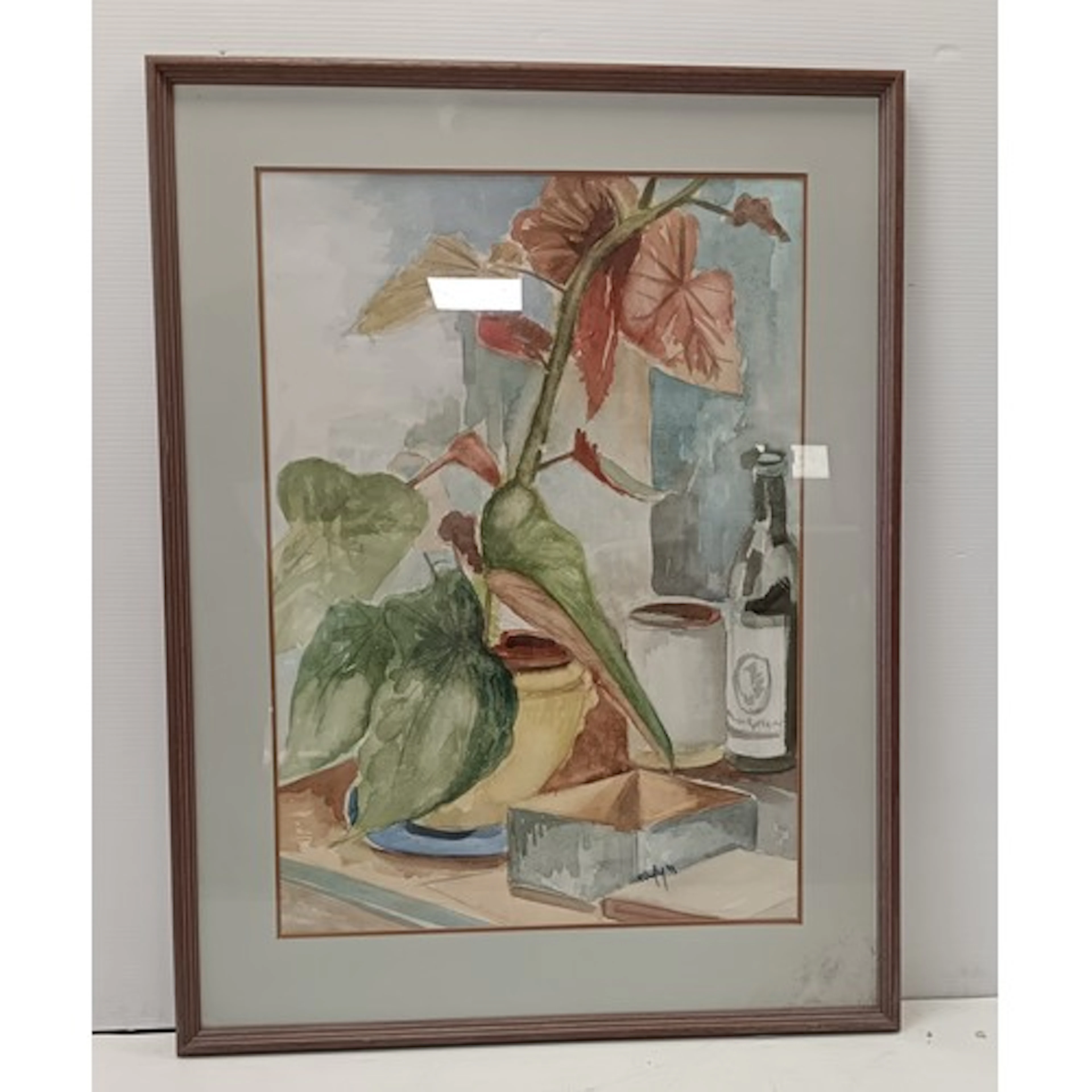 Framed watercolour Title: Begonia still life with flowering ...