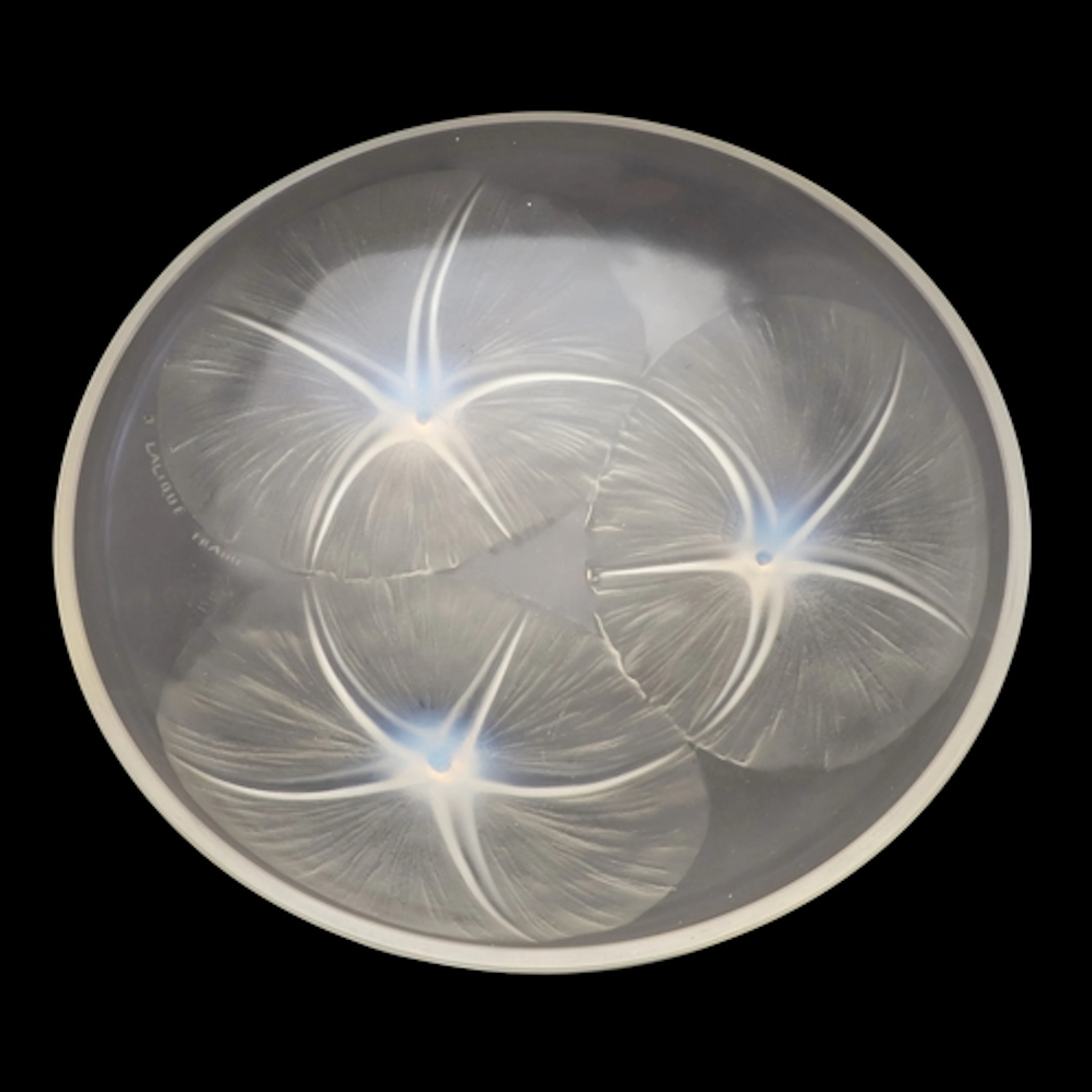 LALIQUE GLASS BOWL - VOLUBILIS. An opalescent and frosted gl...