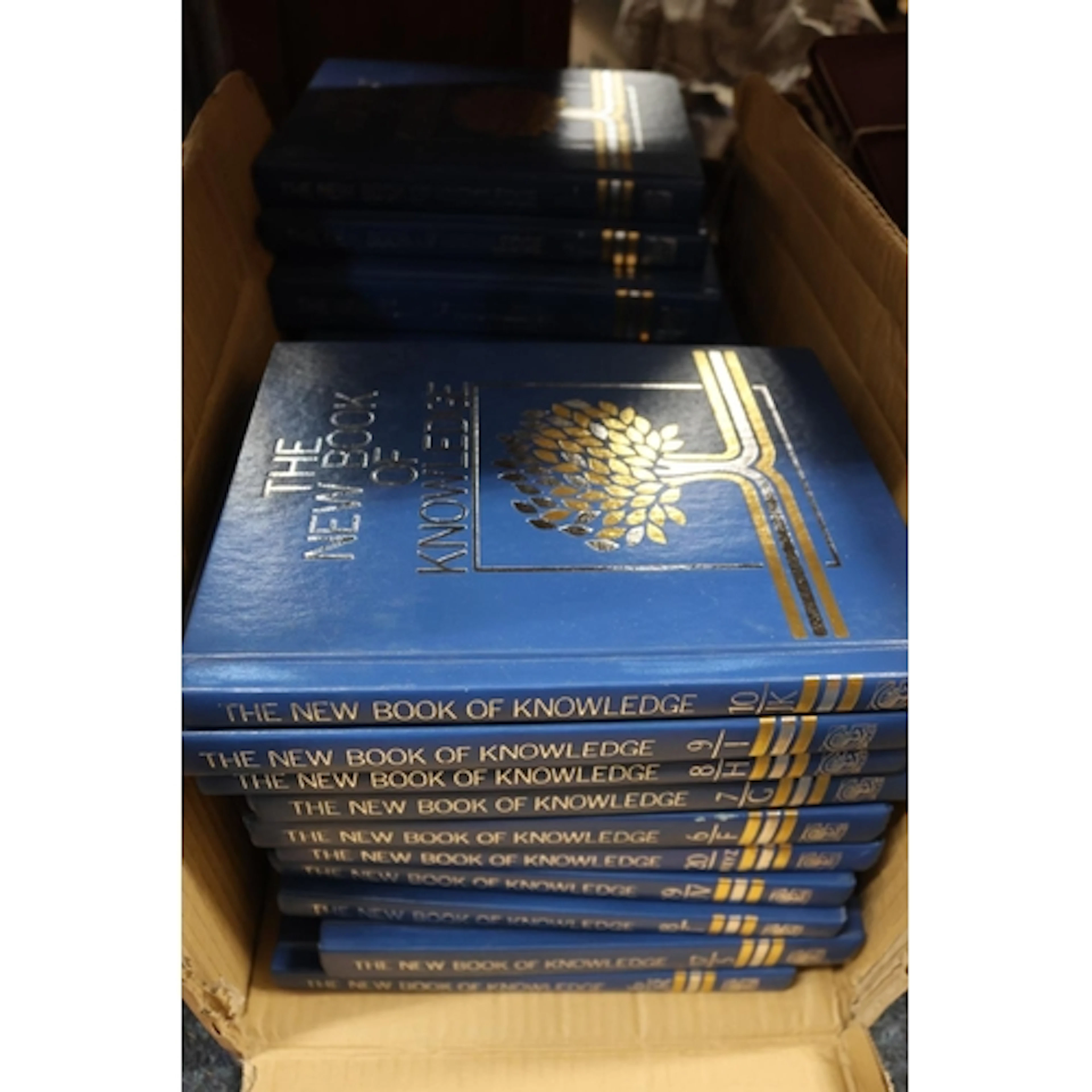 Book of Knowledge, 20 vols., blue bound.