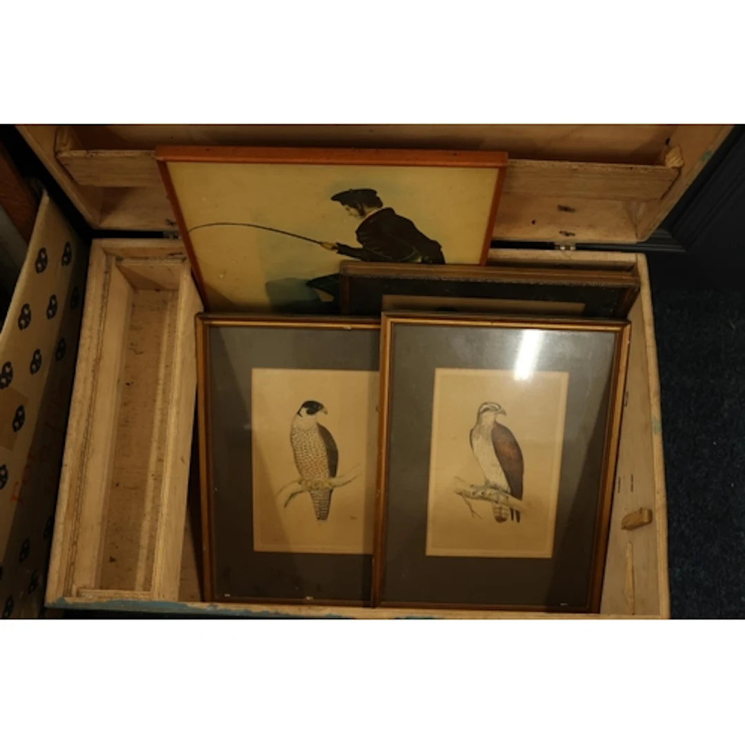 Wooden box containing three ornithological prints and anothe...