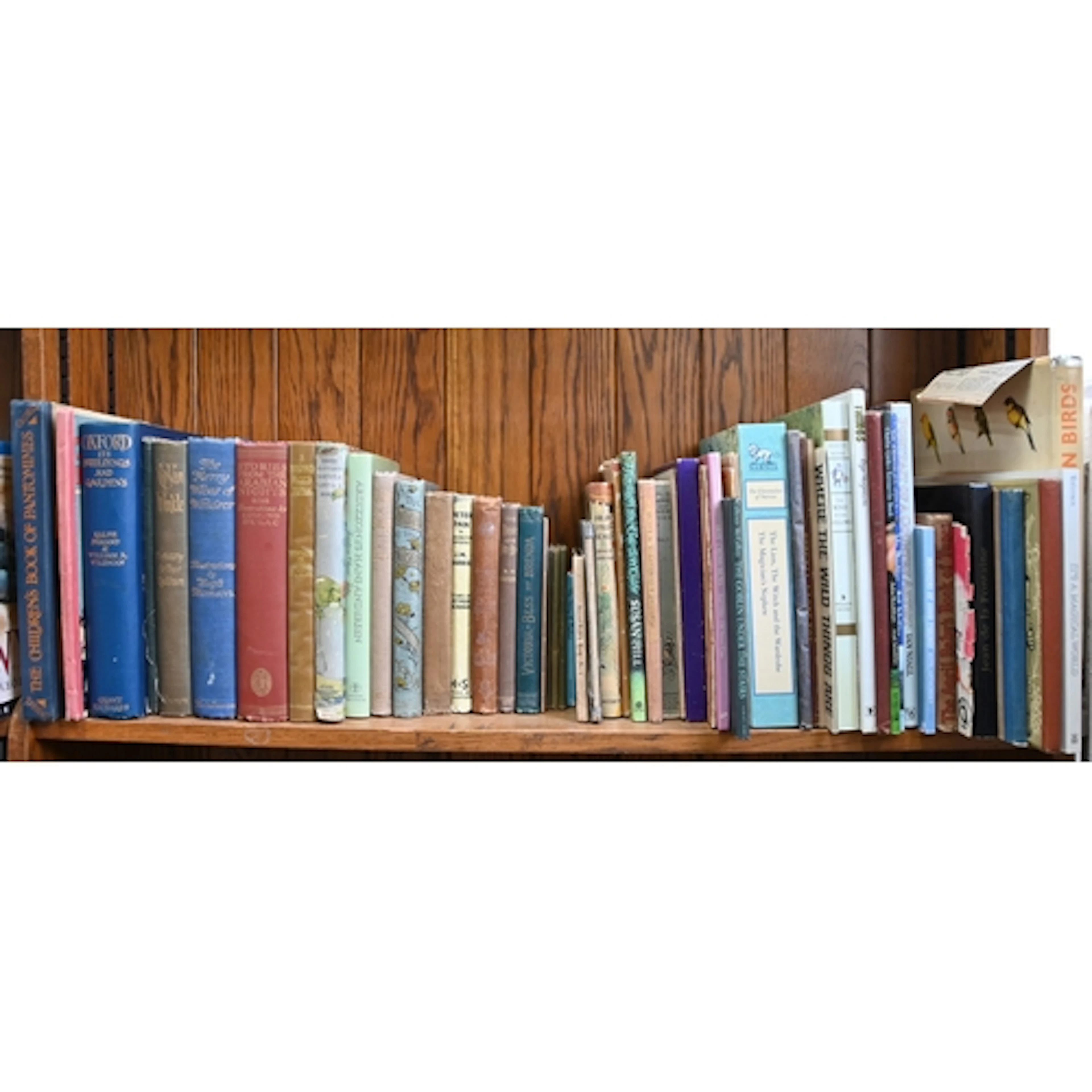 Children's and Illustrated Books. One shelf, early 20th c an...