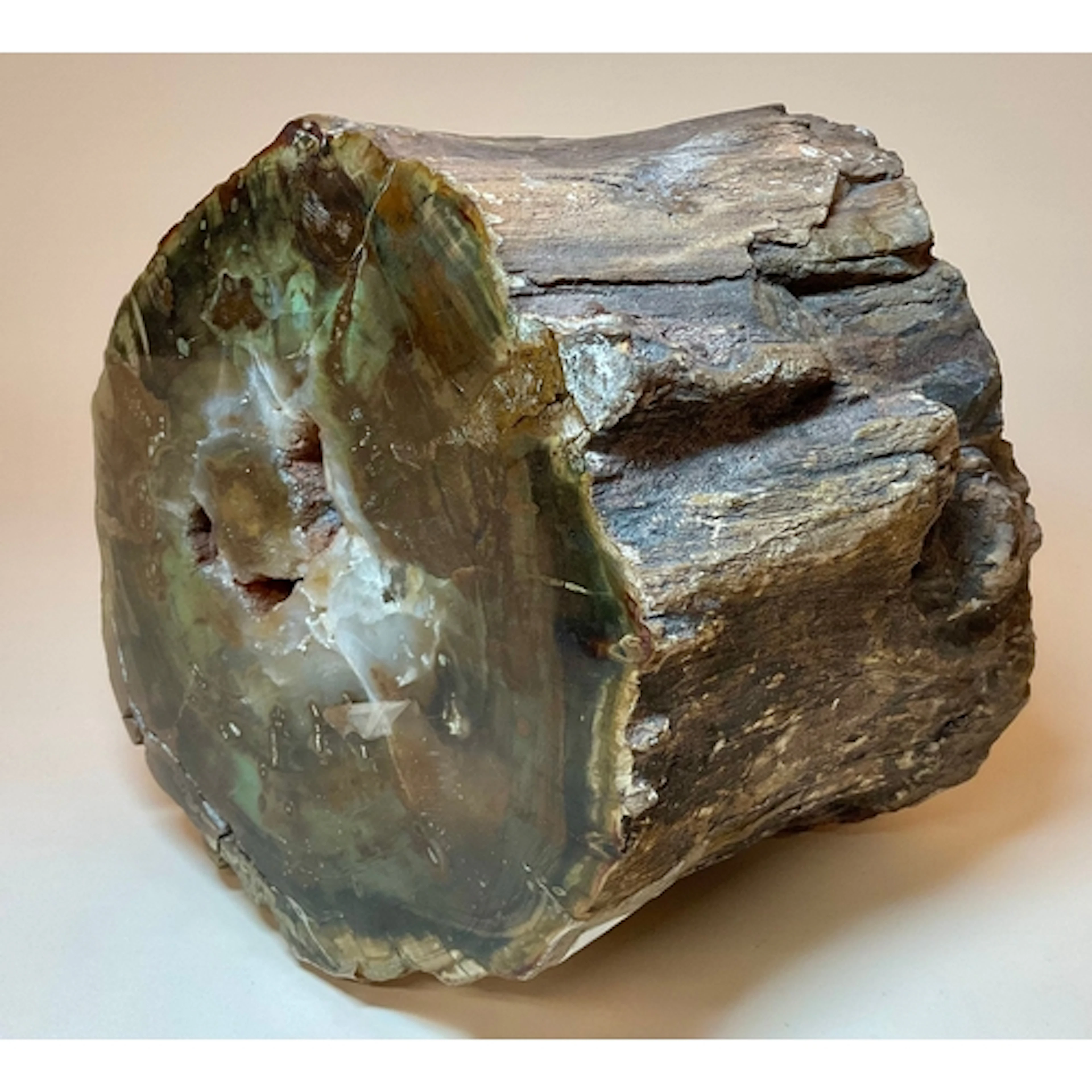 A Madagascan petrified wood specimen, quartz geode core, 16c...