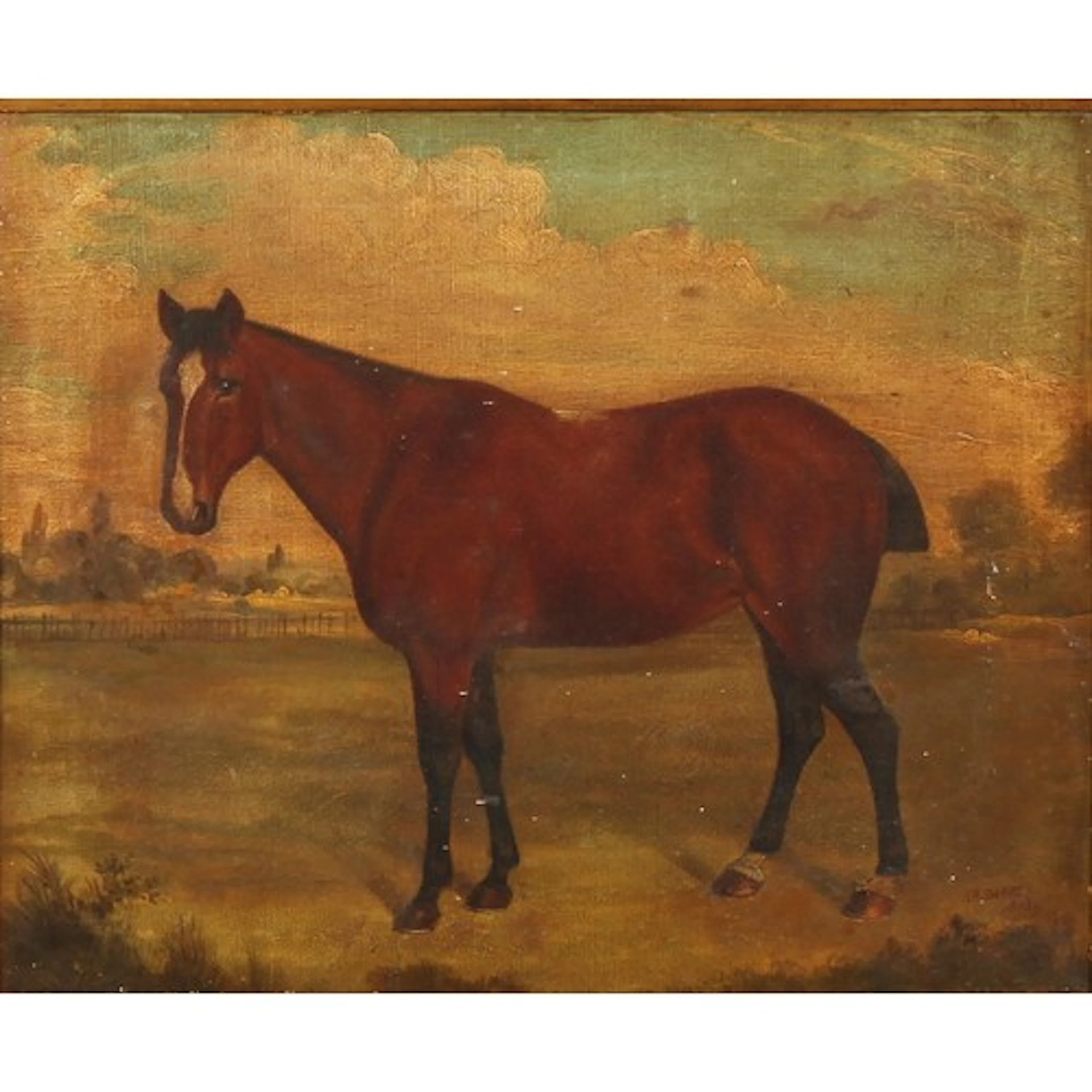 A. W. Darby (British Equestrian, 19th century) Study of a M...